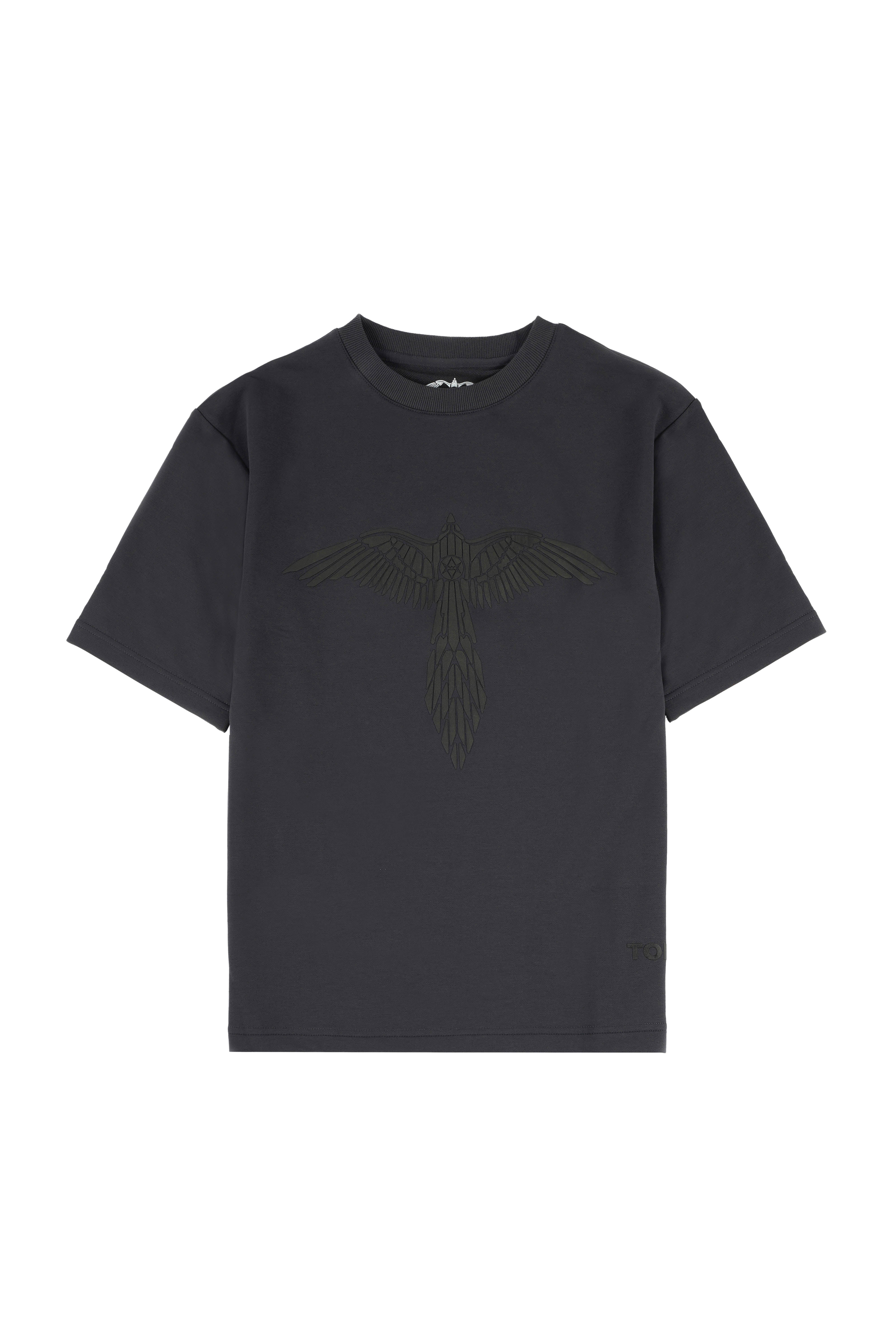 AQUILA SOAR TSHIRT IN GREY