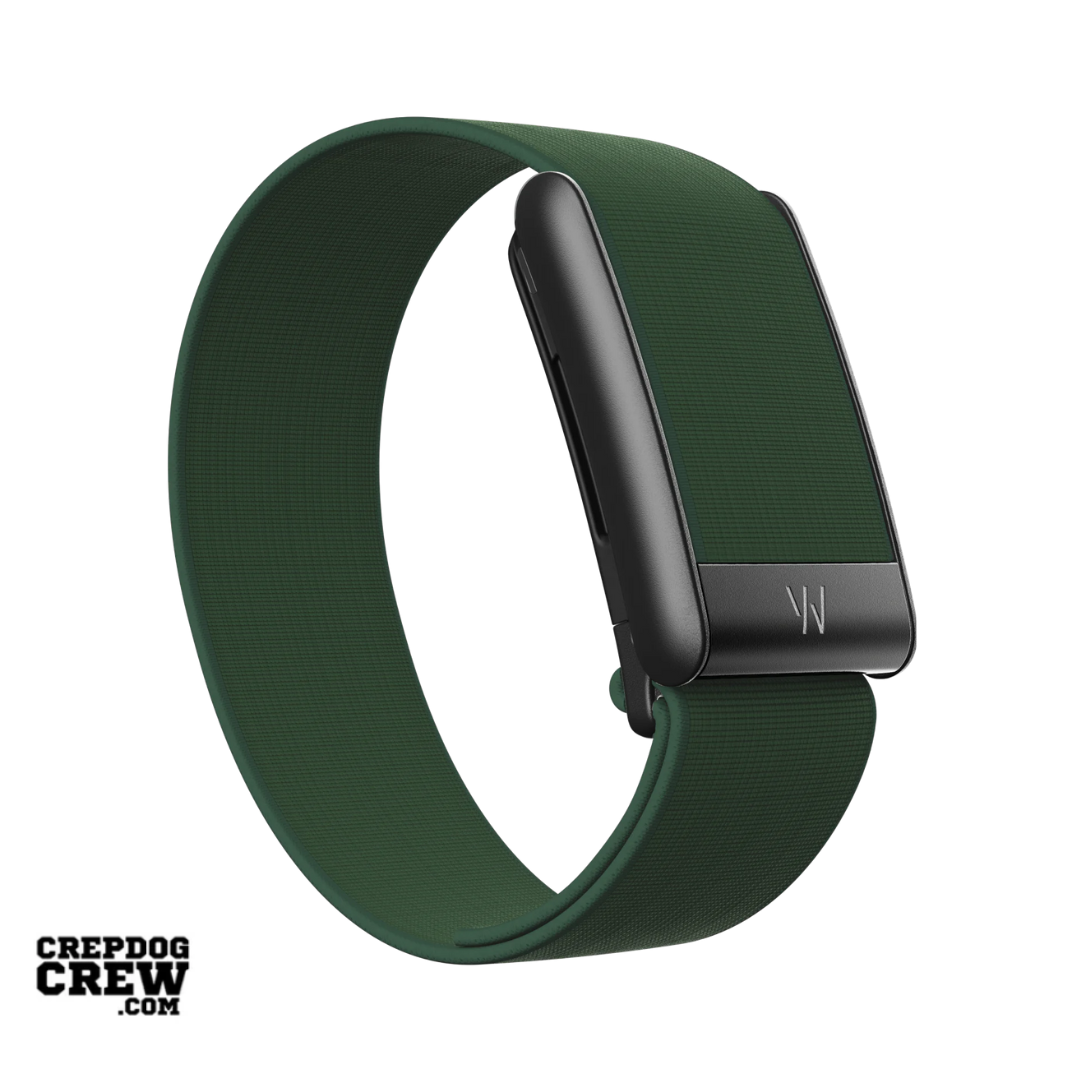 #OTHER BANDS_COREKNIT EVERGREEN