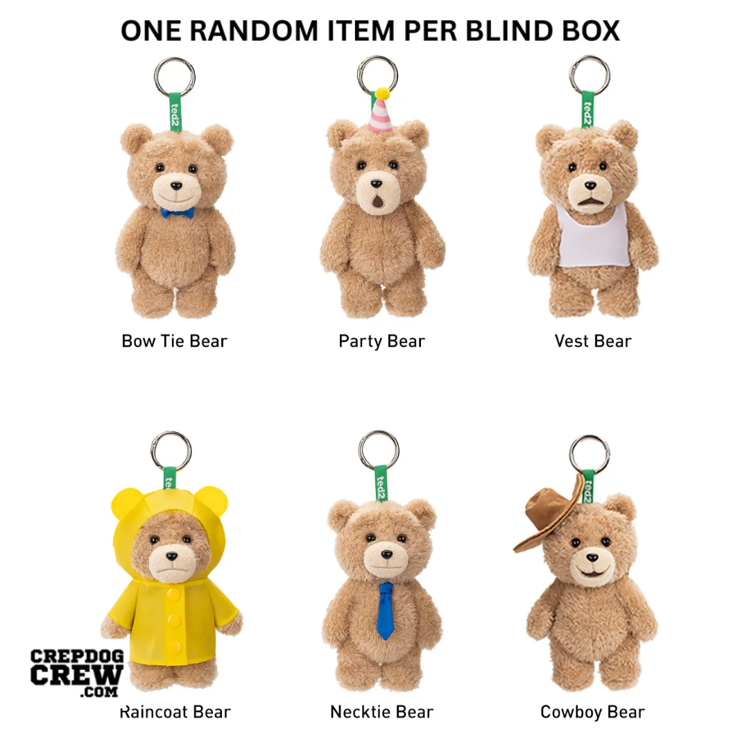 Pop Mart Pop Mart Ted2 Teddy Bear Action Plush Pendant Series Single Blind Box (PACK OF 1)
