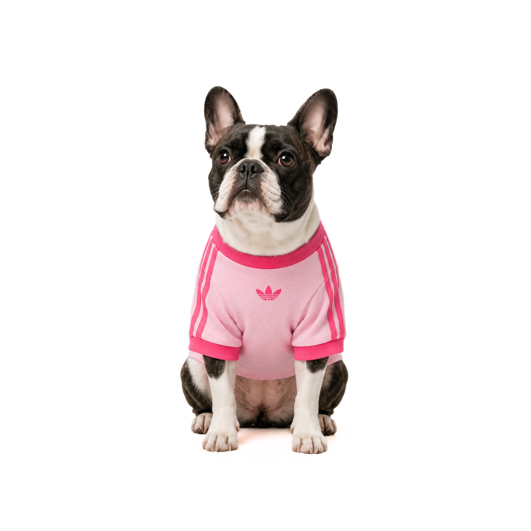 PET CALI TEE Clear Pink Real Pink