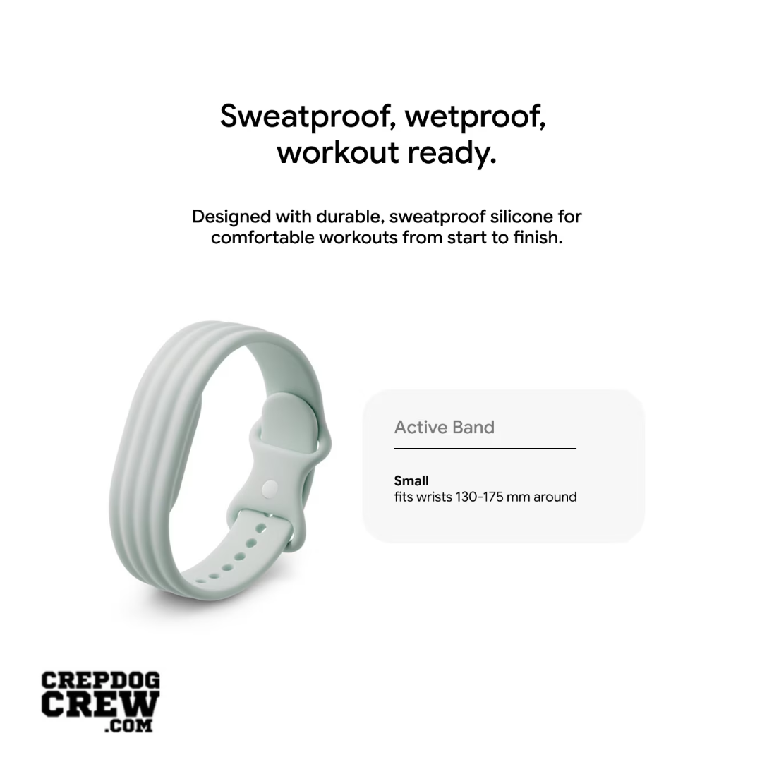 Google Fitbit Air classic Obsidian + Active Band fog