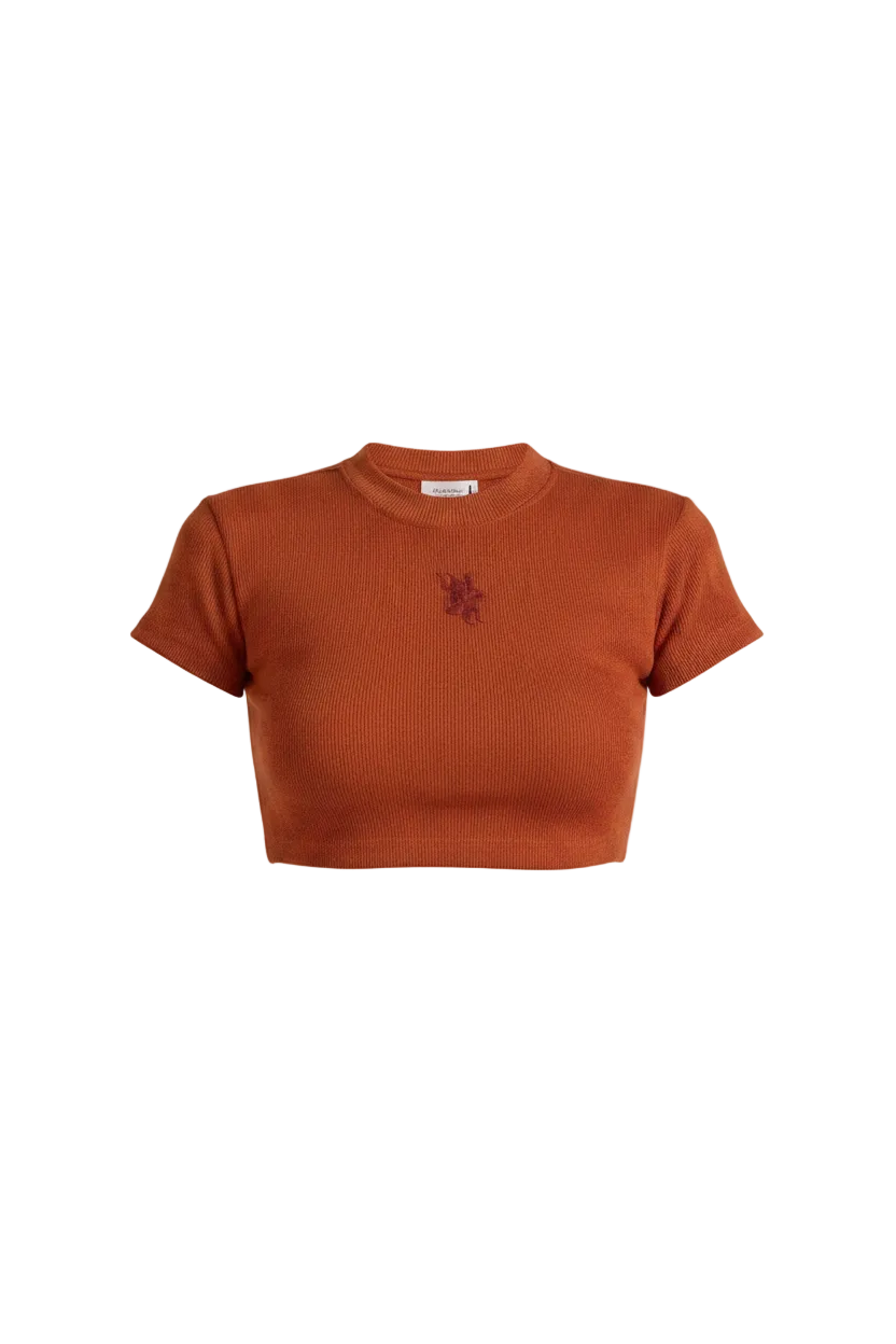 Basics Women's Red Crop T-shirt