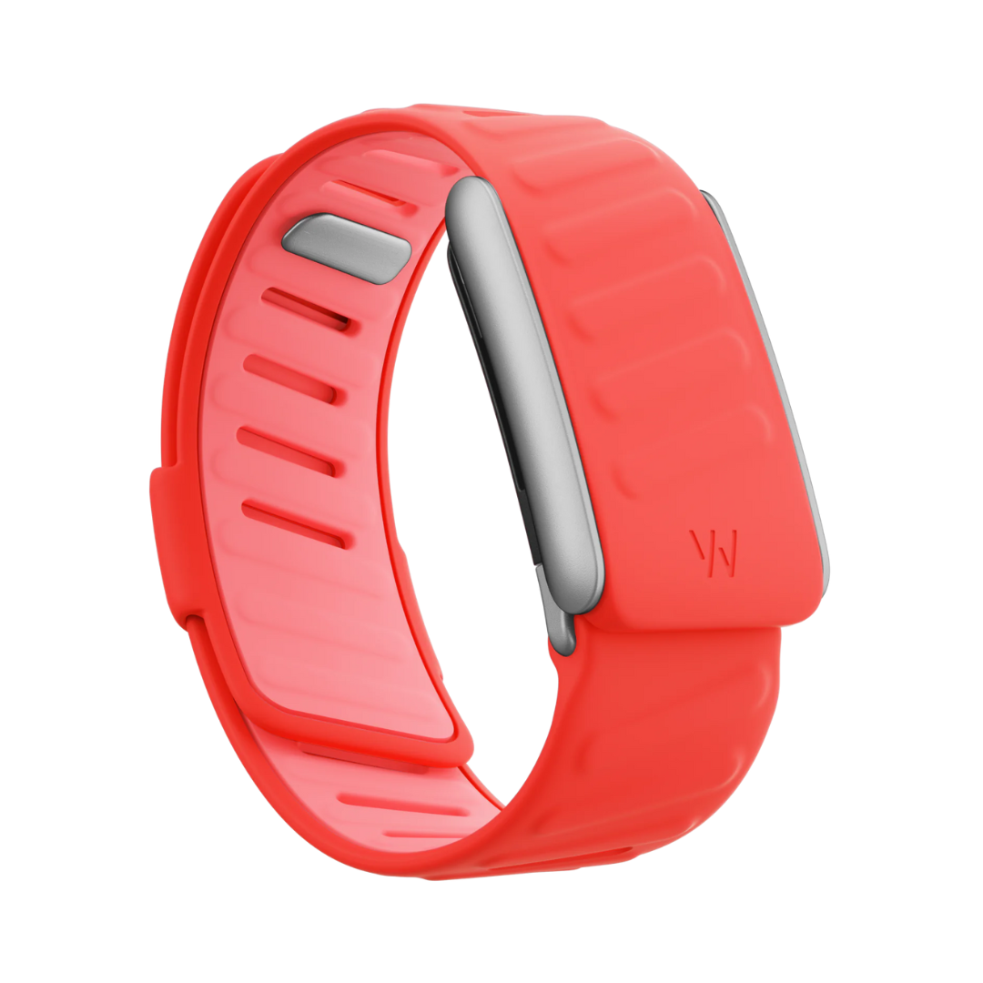 #OTHER BANDS_SPORTFLEX BOUNCE