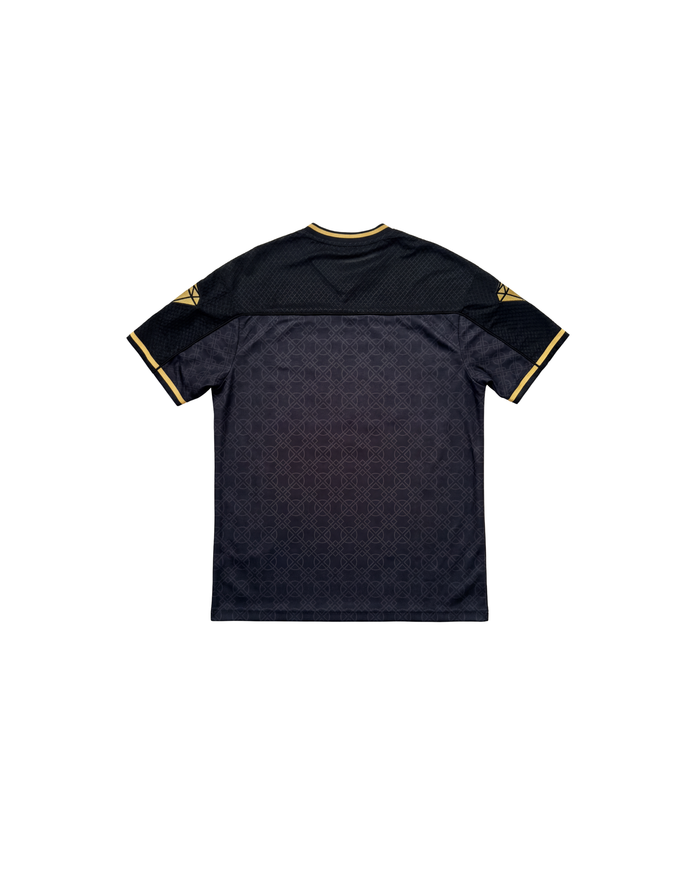 CHAKRA AND CHANCE - OVERSIZED FIT EMBROIDERED JERSEY