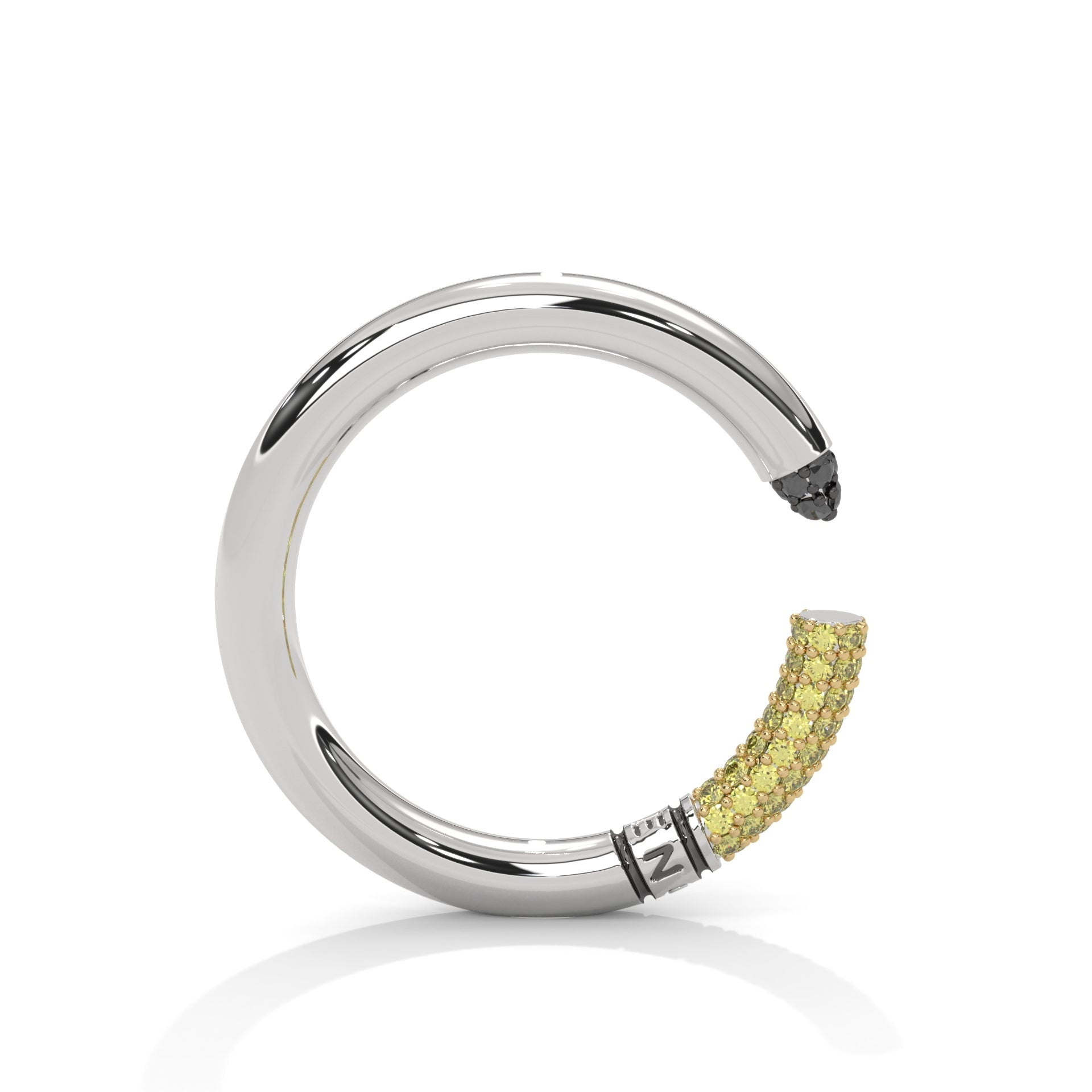 NOBLE LIGHTS RING
