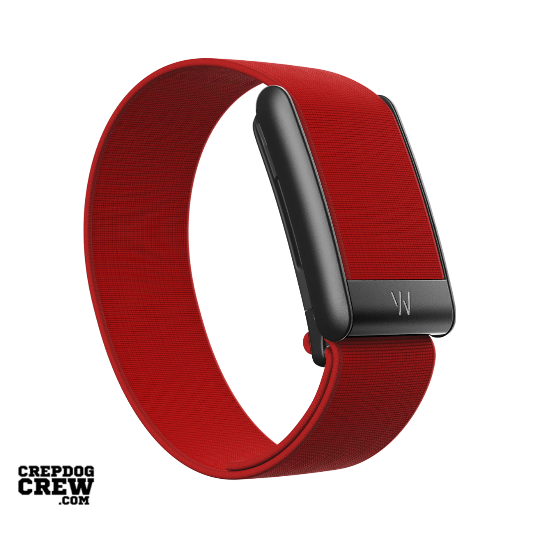 #OTHER BANDS_COREKNIT CARDINAL