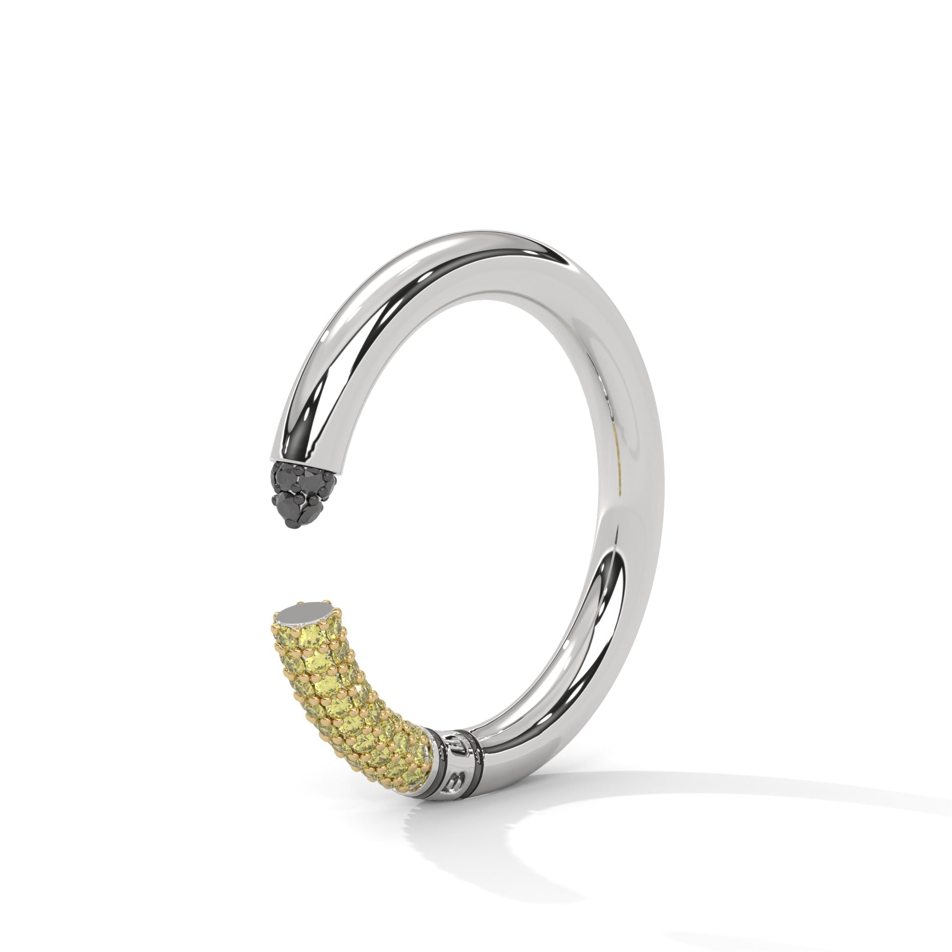 NOBLE LIGHTS RING