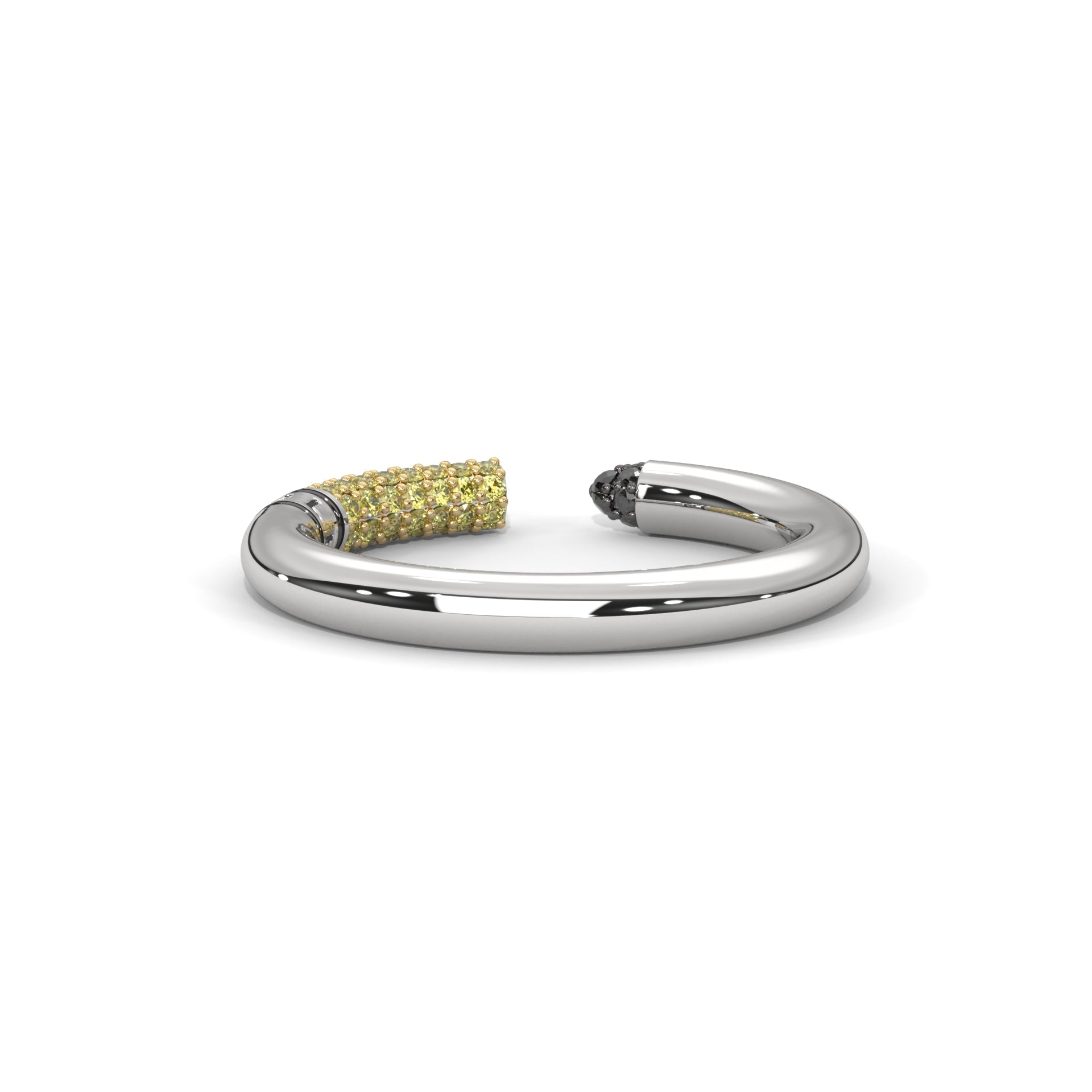 NOBLE LIGHTS RING