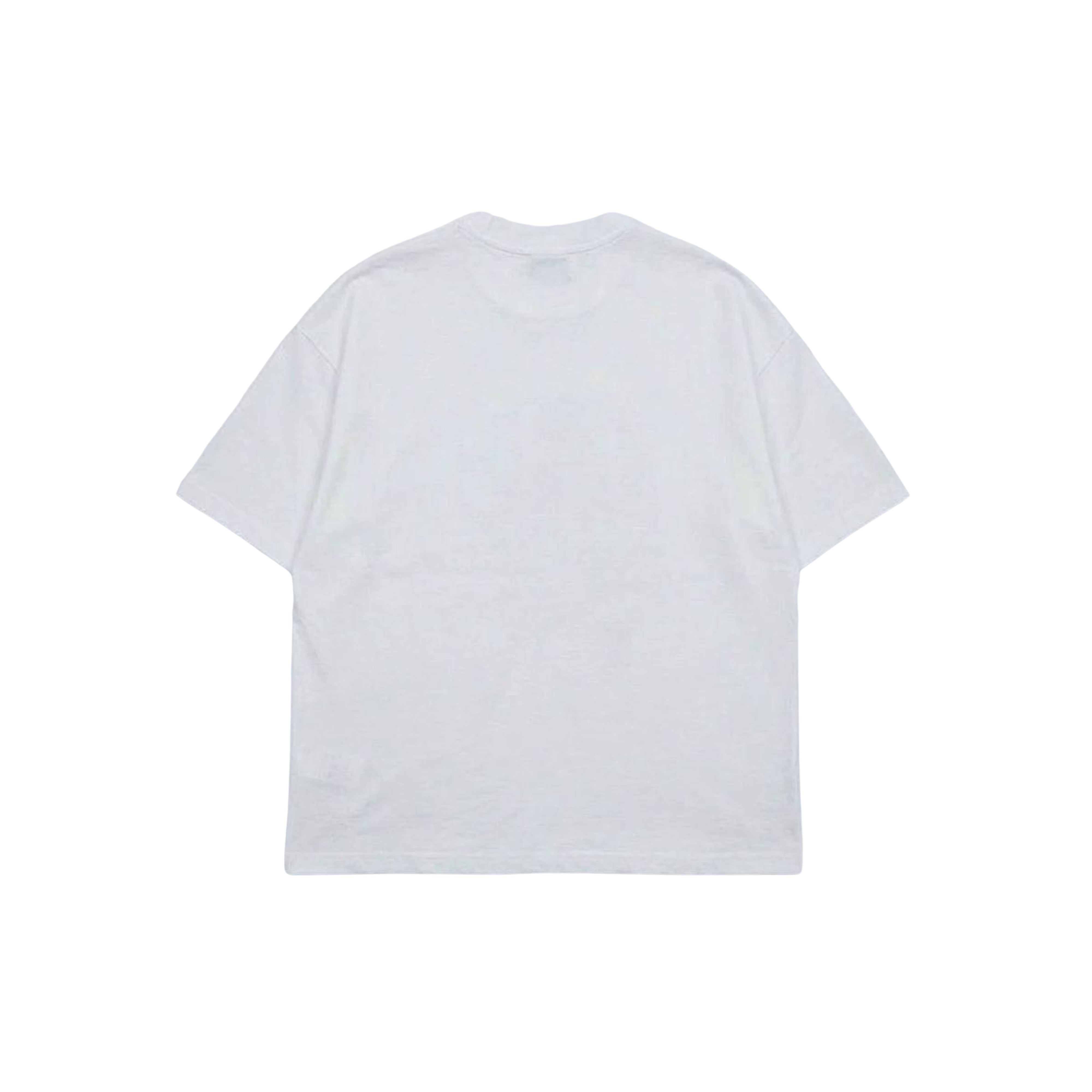 THE COMPANION T-SHIRT