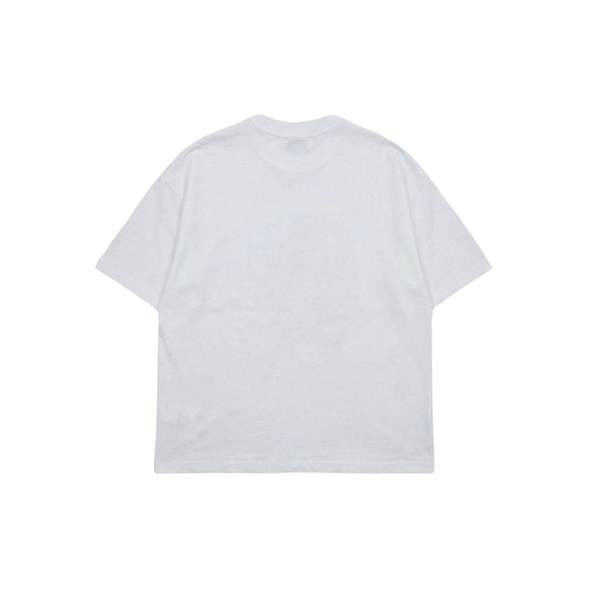 THE COMPANION T-SHIRT