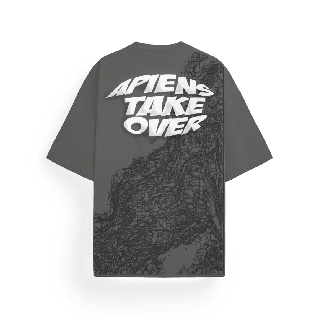 Apiens - Oversized Tshirt (Grey)
