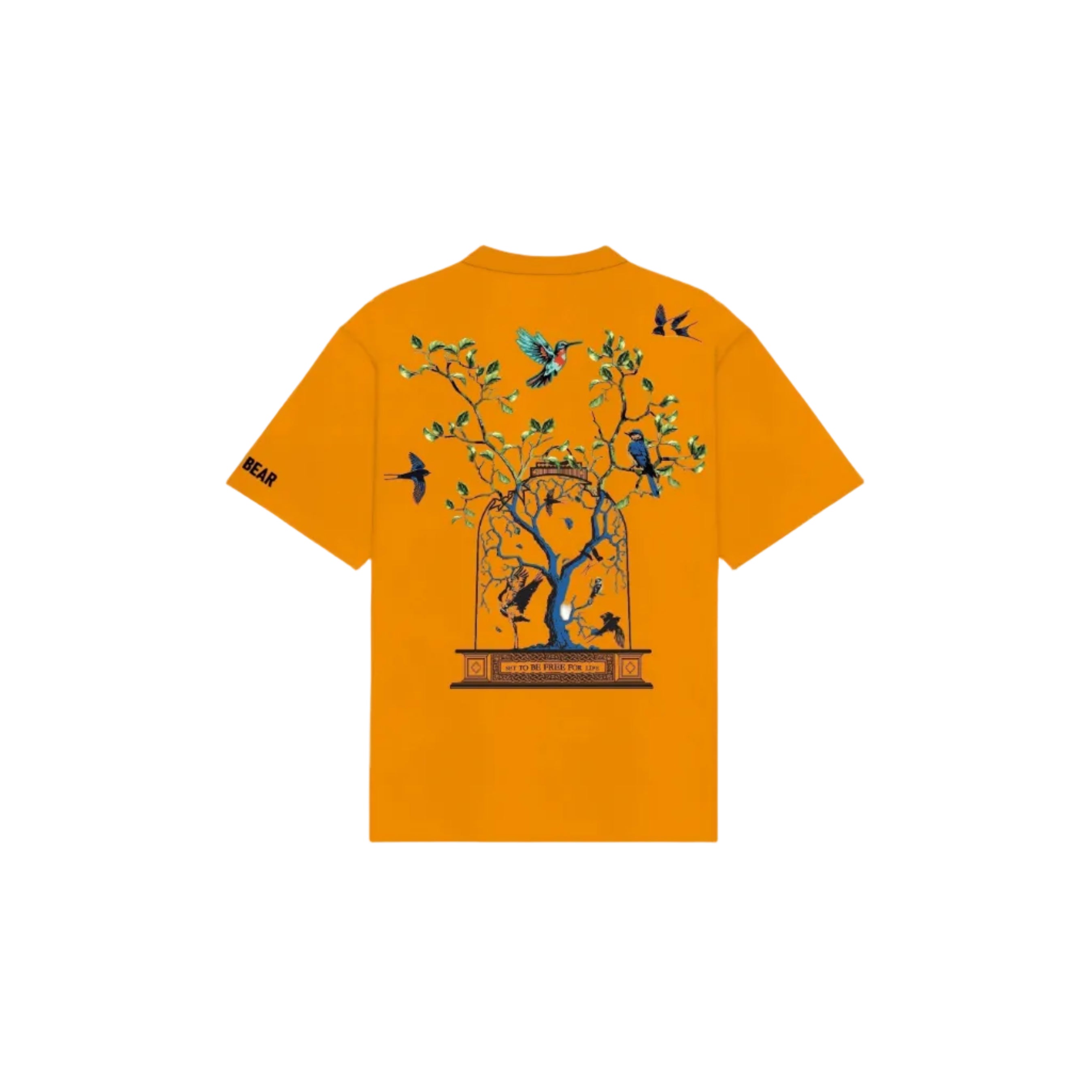 Set Free Tee Yellow