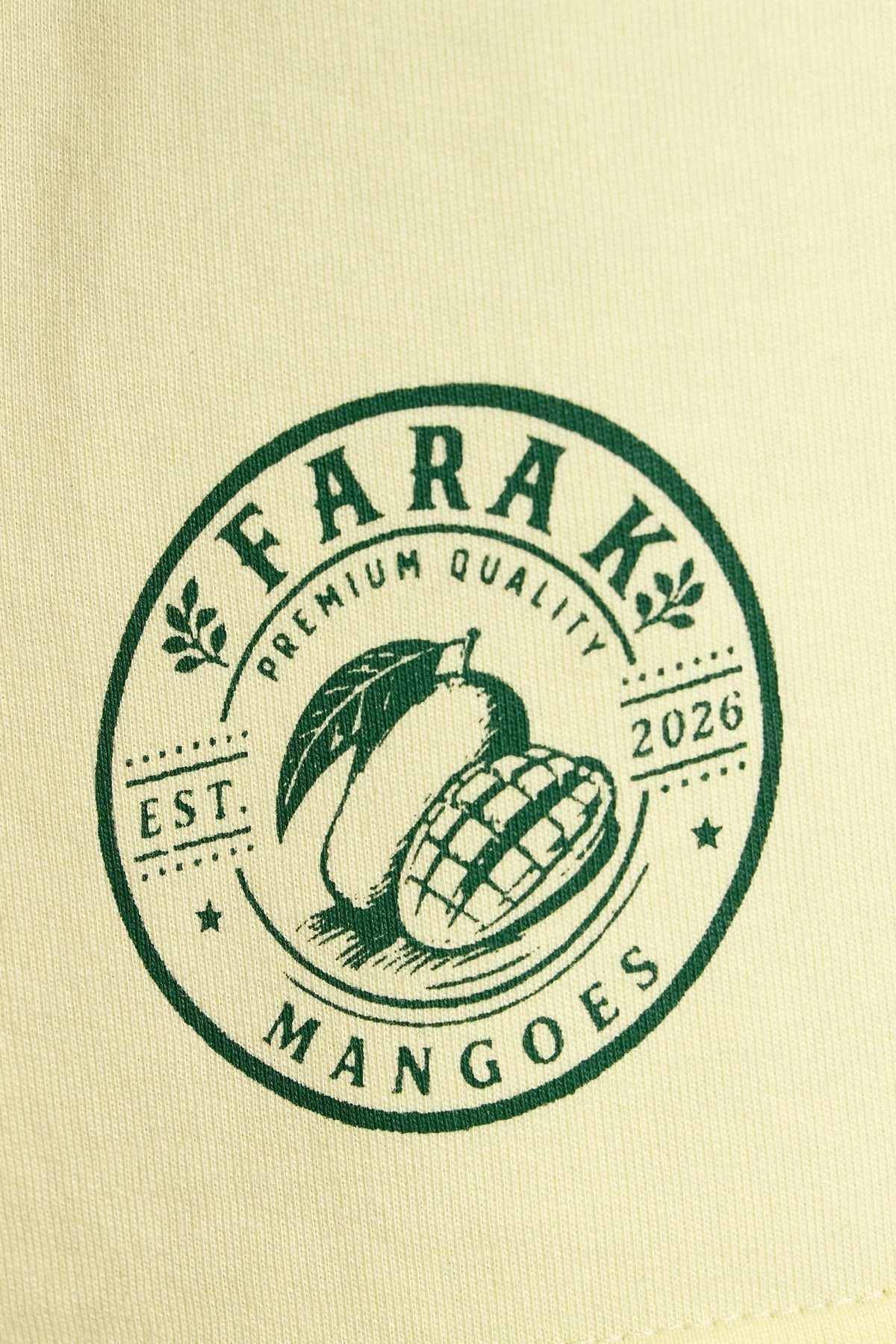 Mango T-shirt