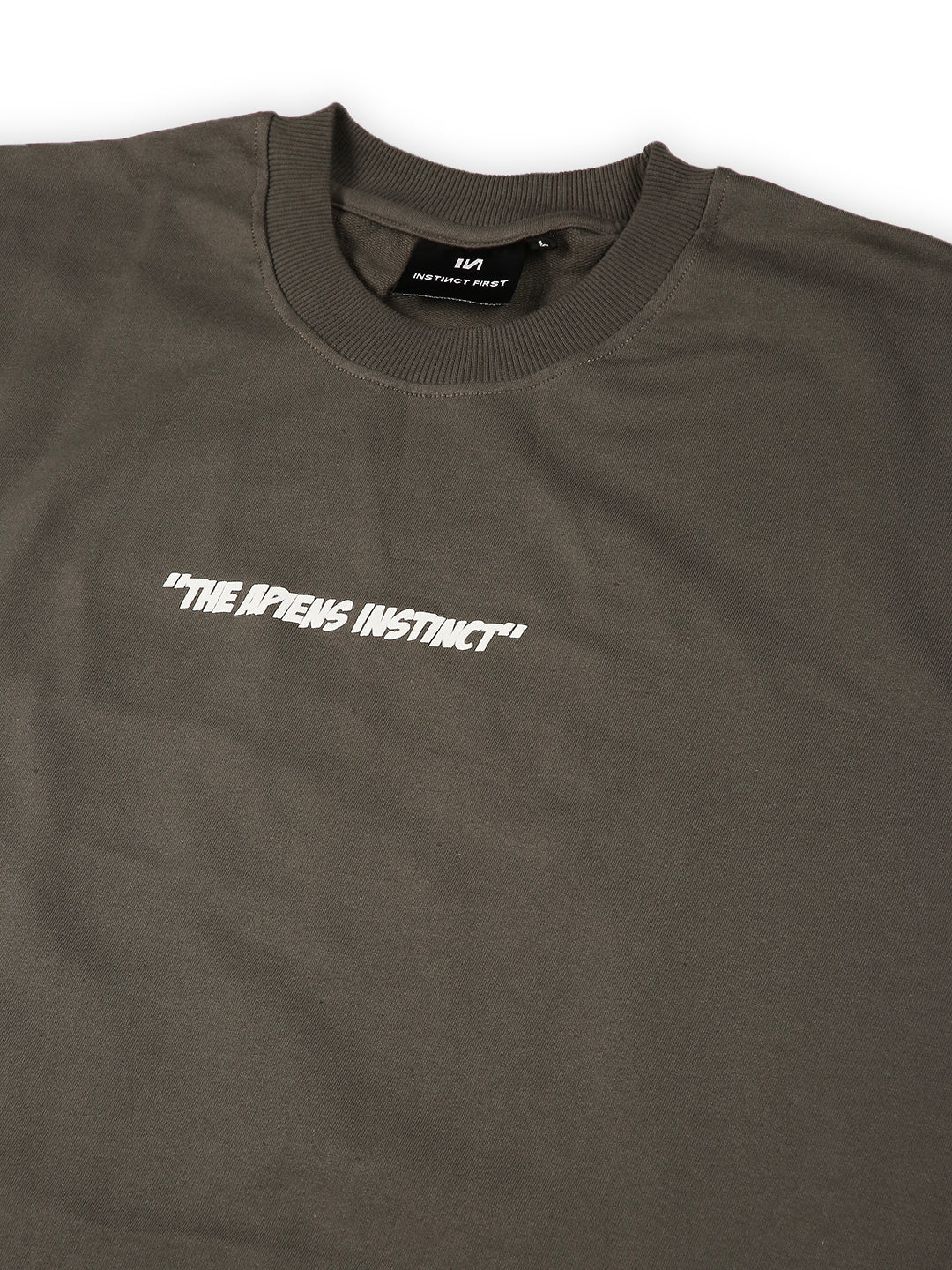 Apiens - Oversized Tshirt (Grey)