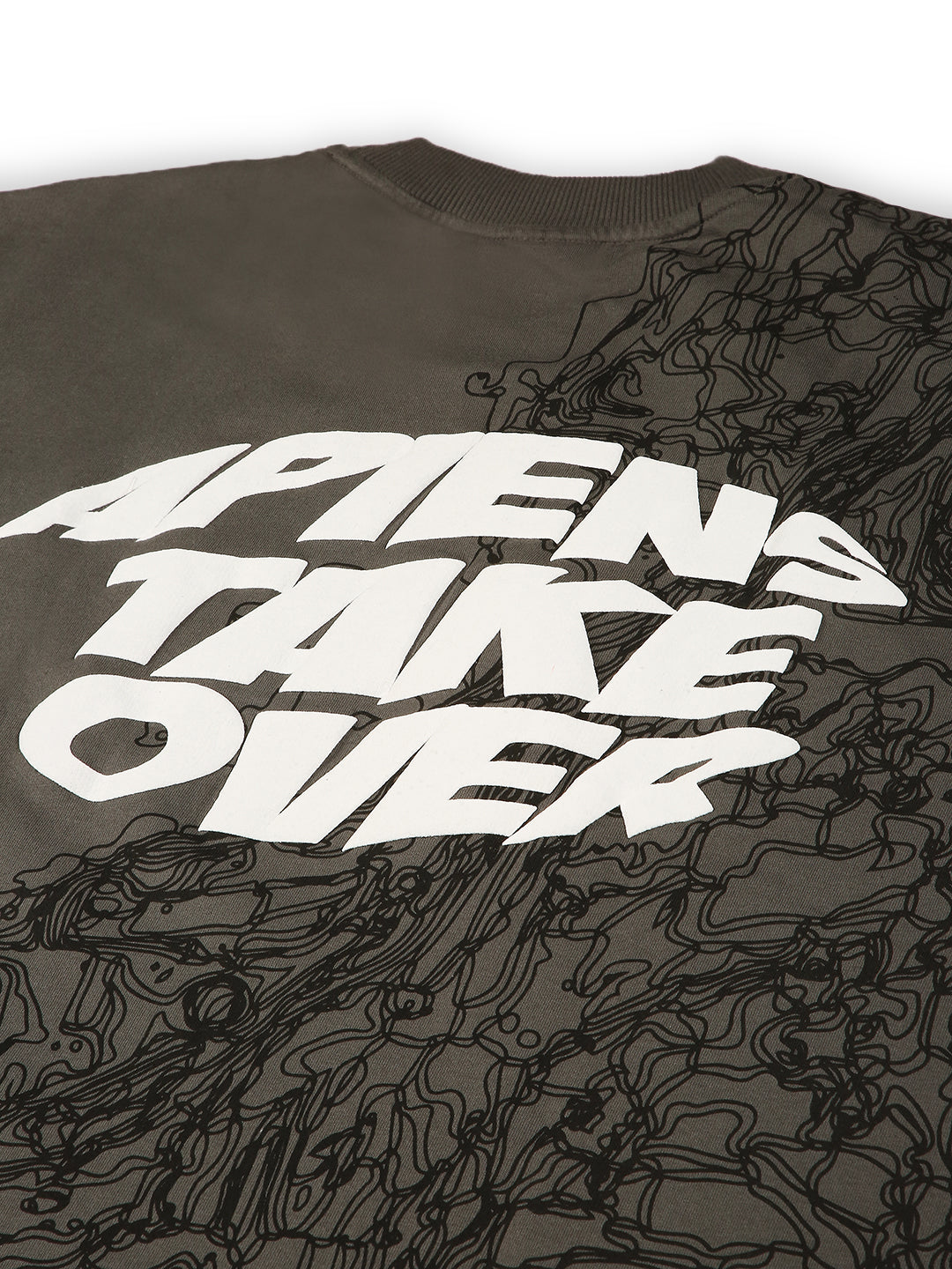 Apiens - Oversized Tshirt (Grey)