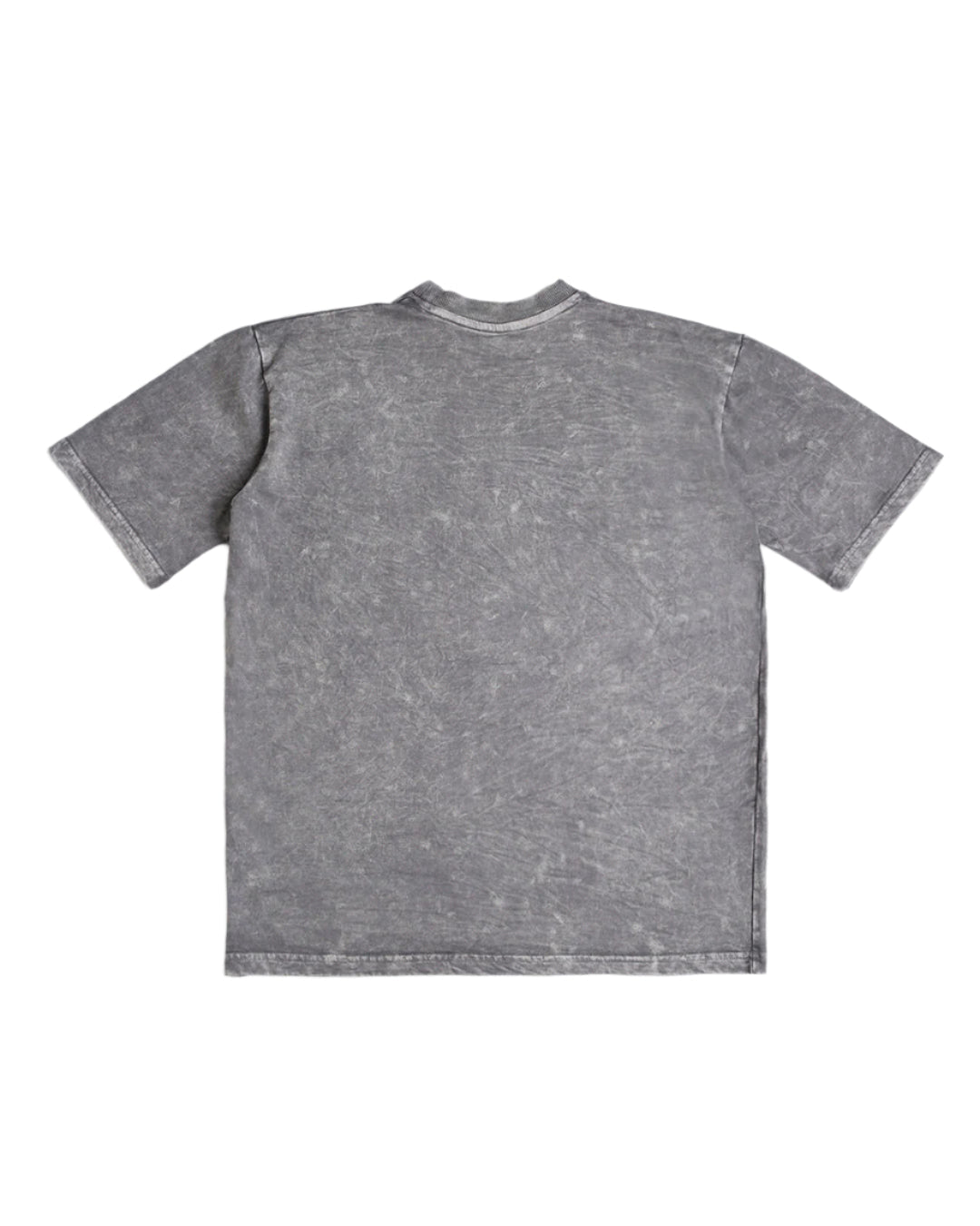 Platinum Washed Out Oversized T-shirt