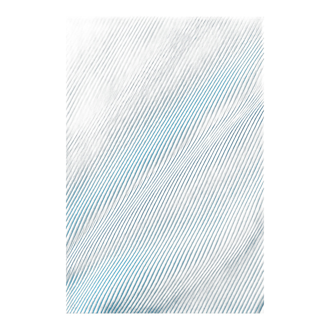 alo Goddess Ribbed High-Waist First Pick Short - Azure Blue/White