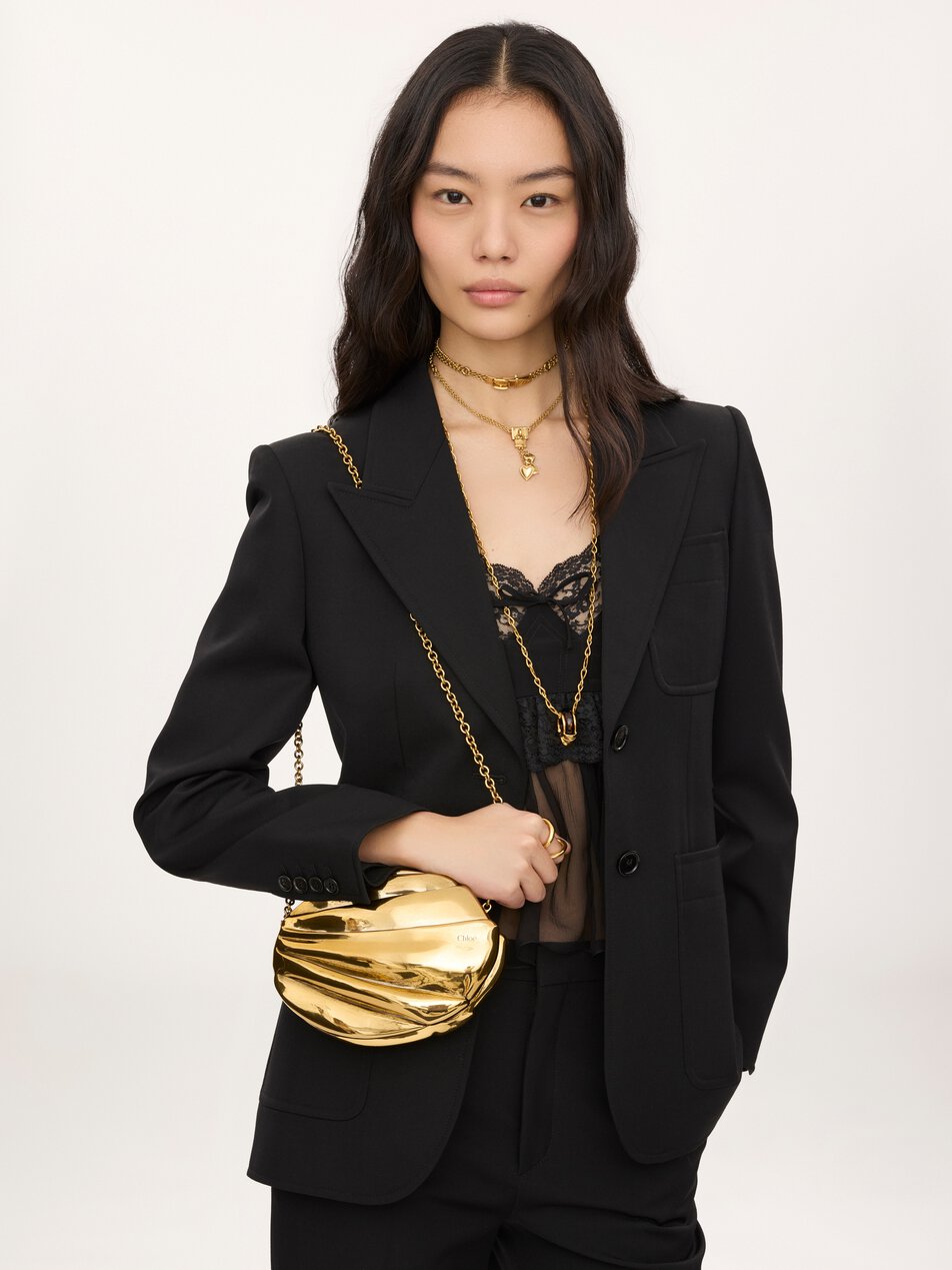 CHLOE Plissé minaudière with chain in copper & brass Gold Color