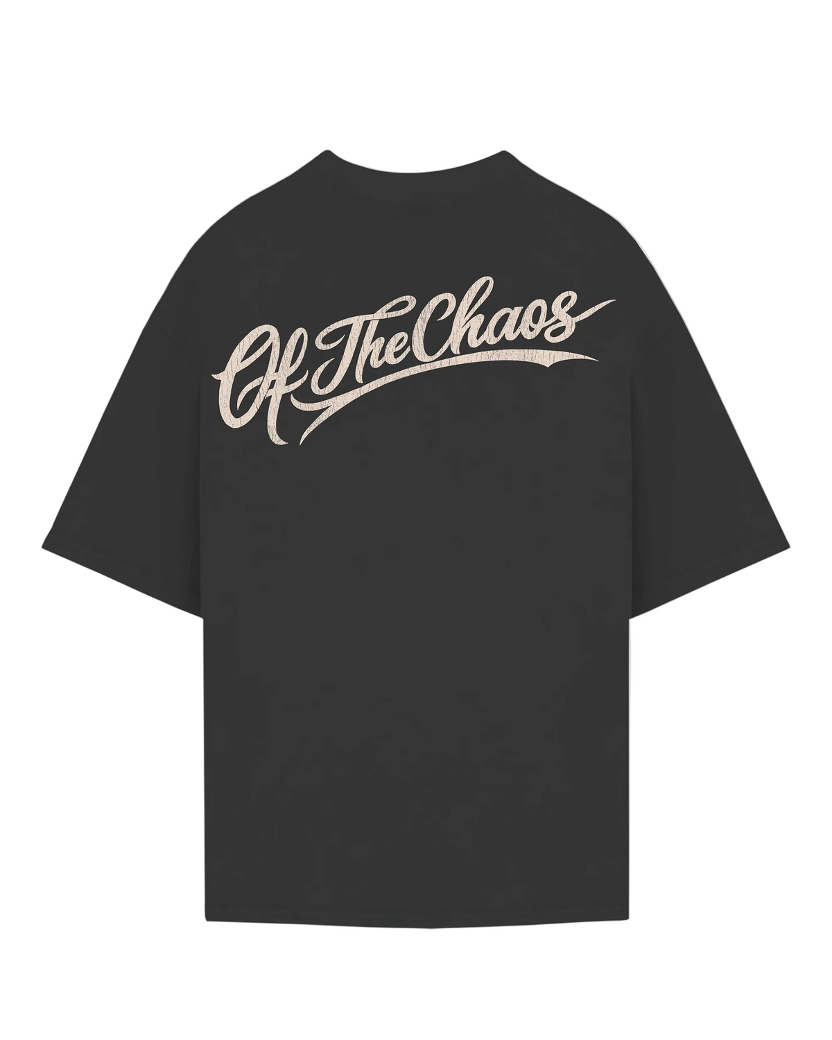 DISGUISE T-SHIRT - GREY