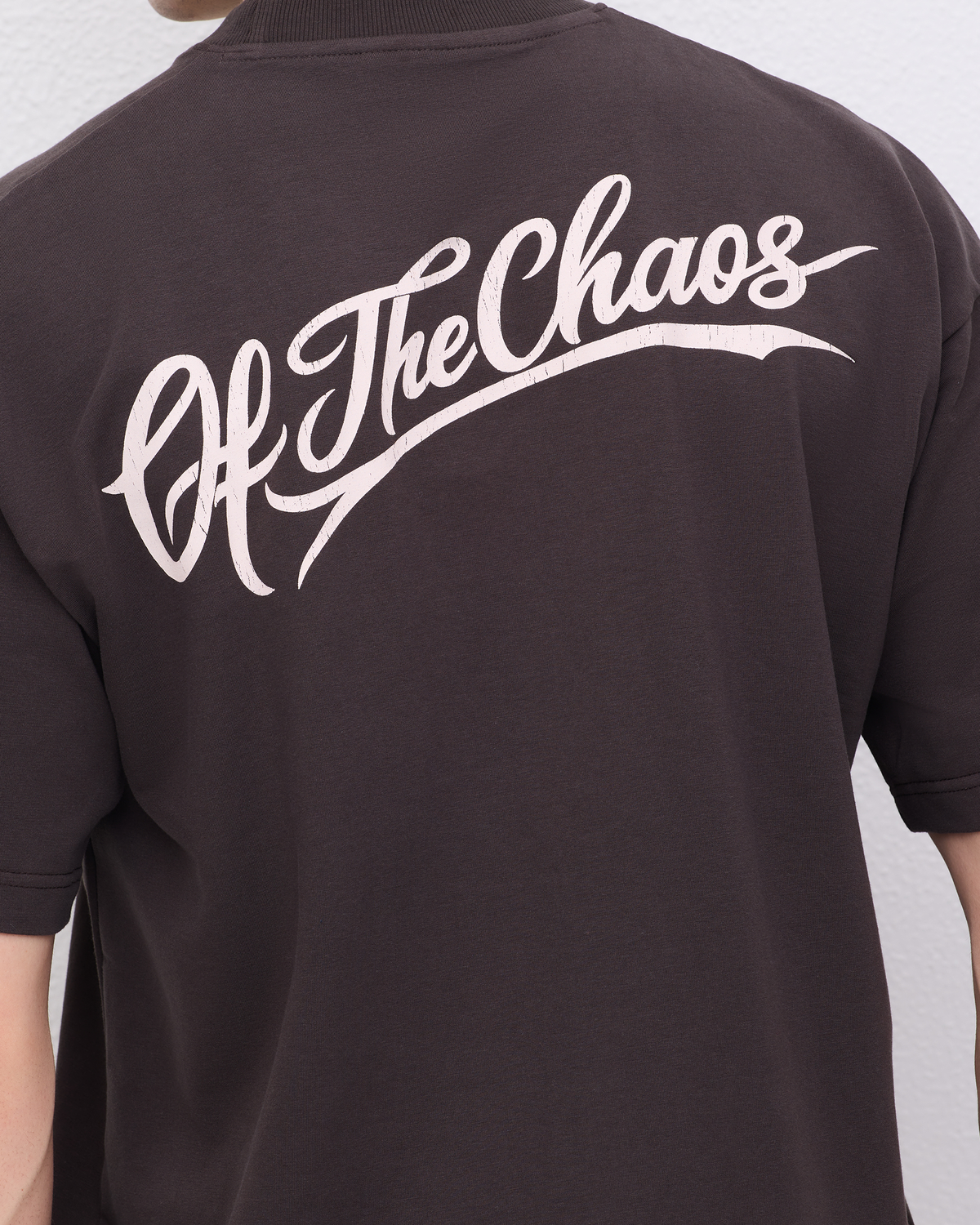 DISGUISE T-SHIRT - GREY