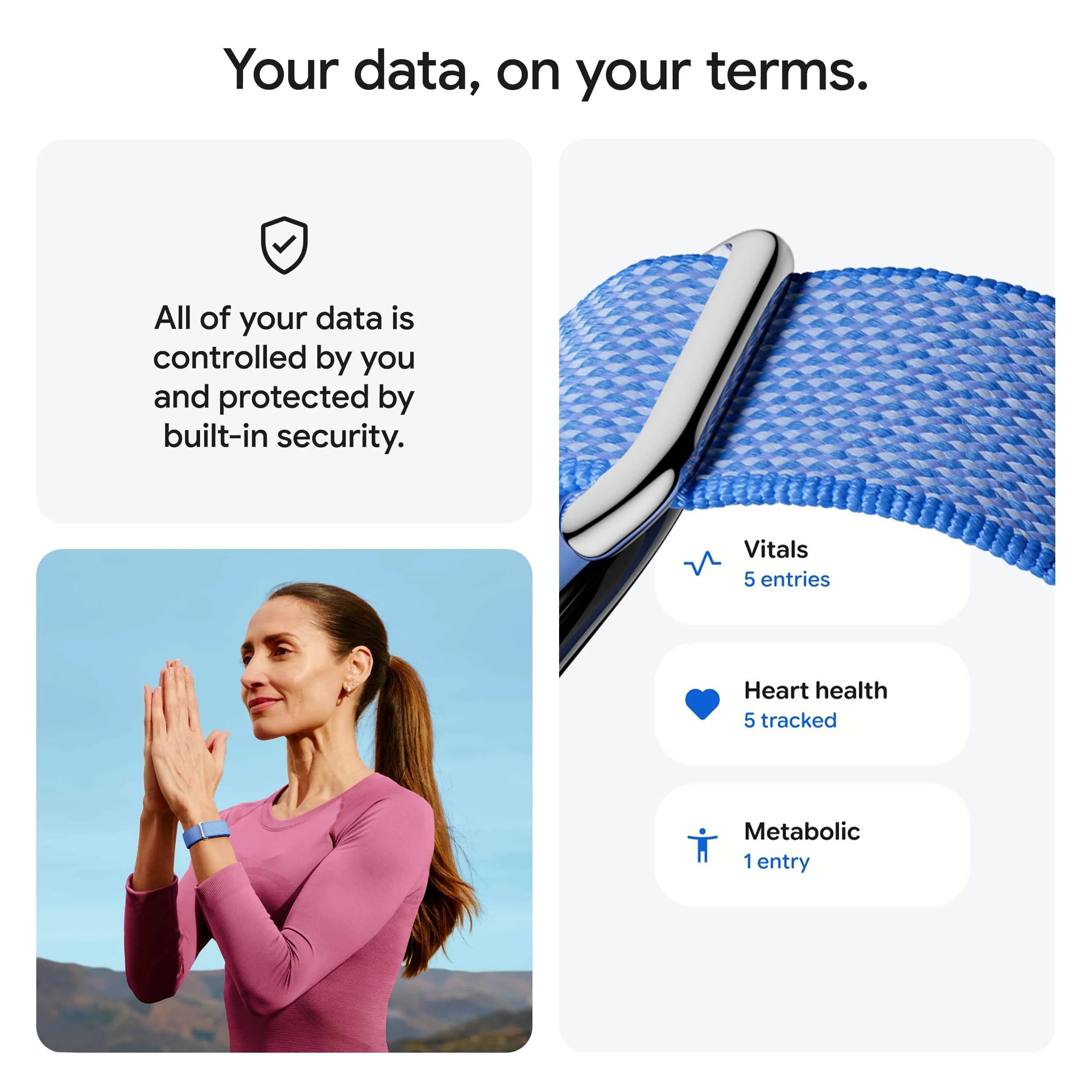 Google Fitbit Air Classic