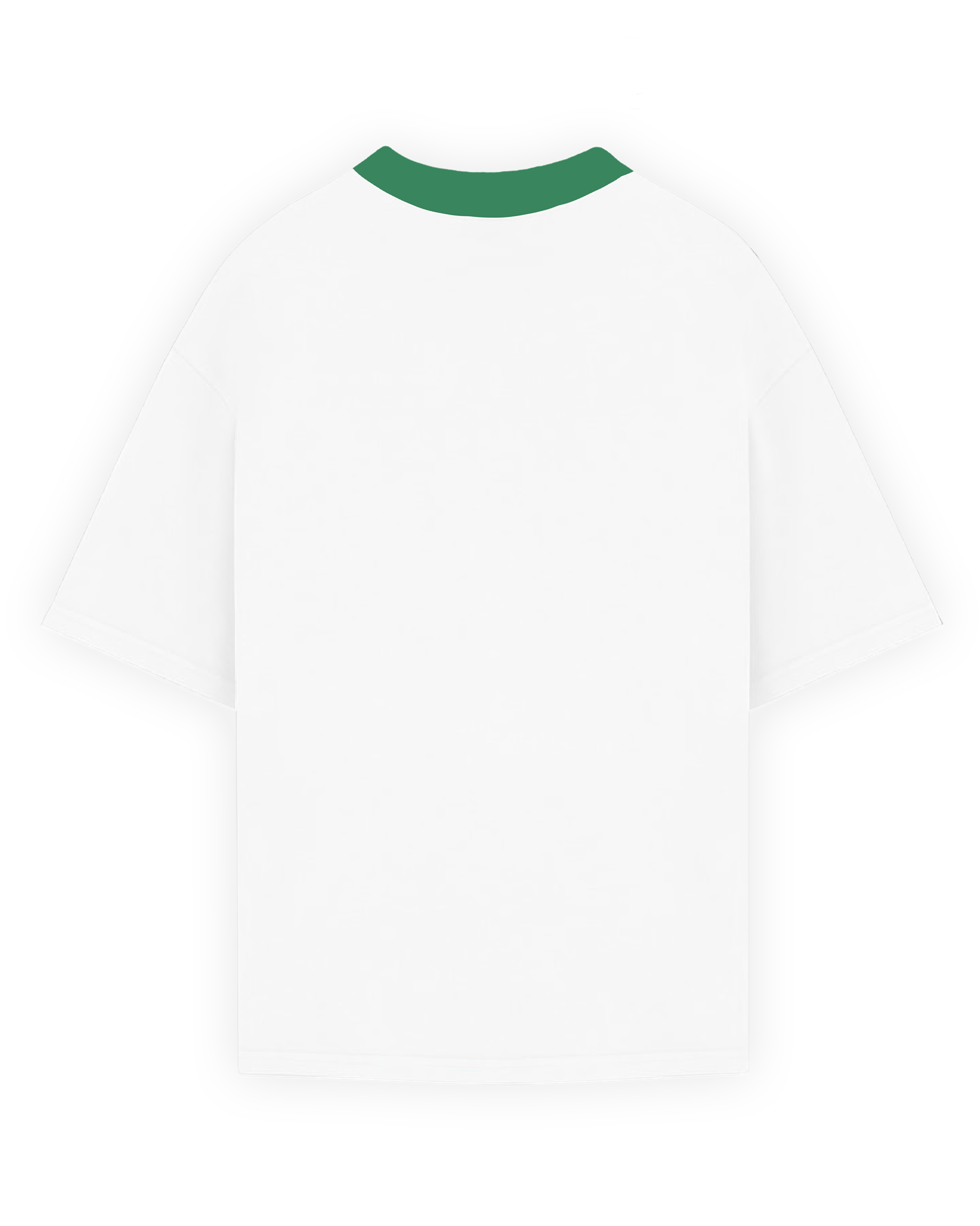 ART DEPT. RINGER T-SHIRT - WHITE/GREEN