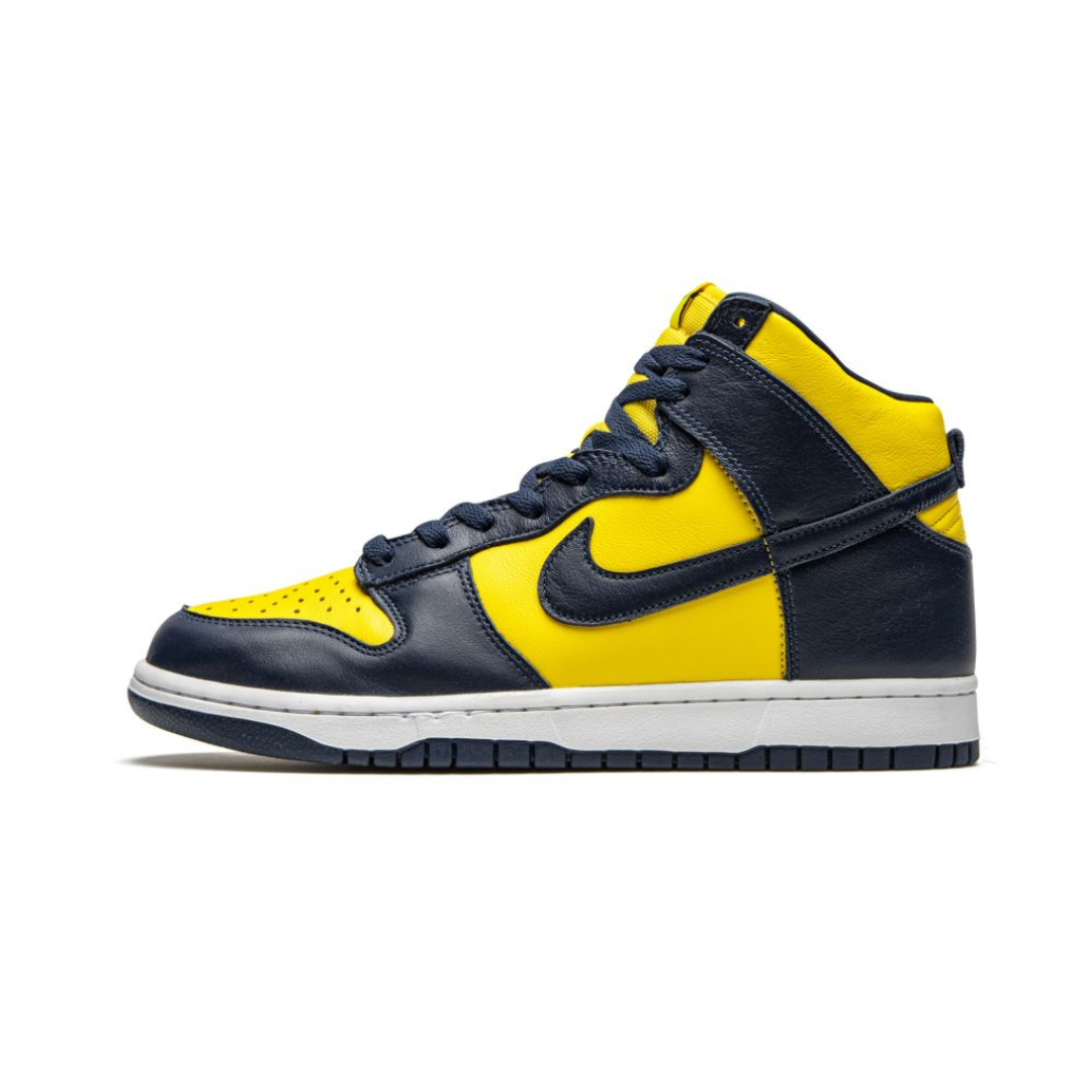 Nike Dunk High Michigan (2020)