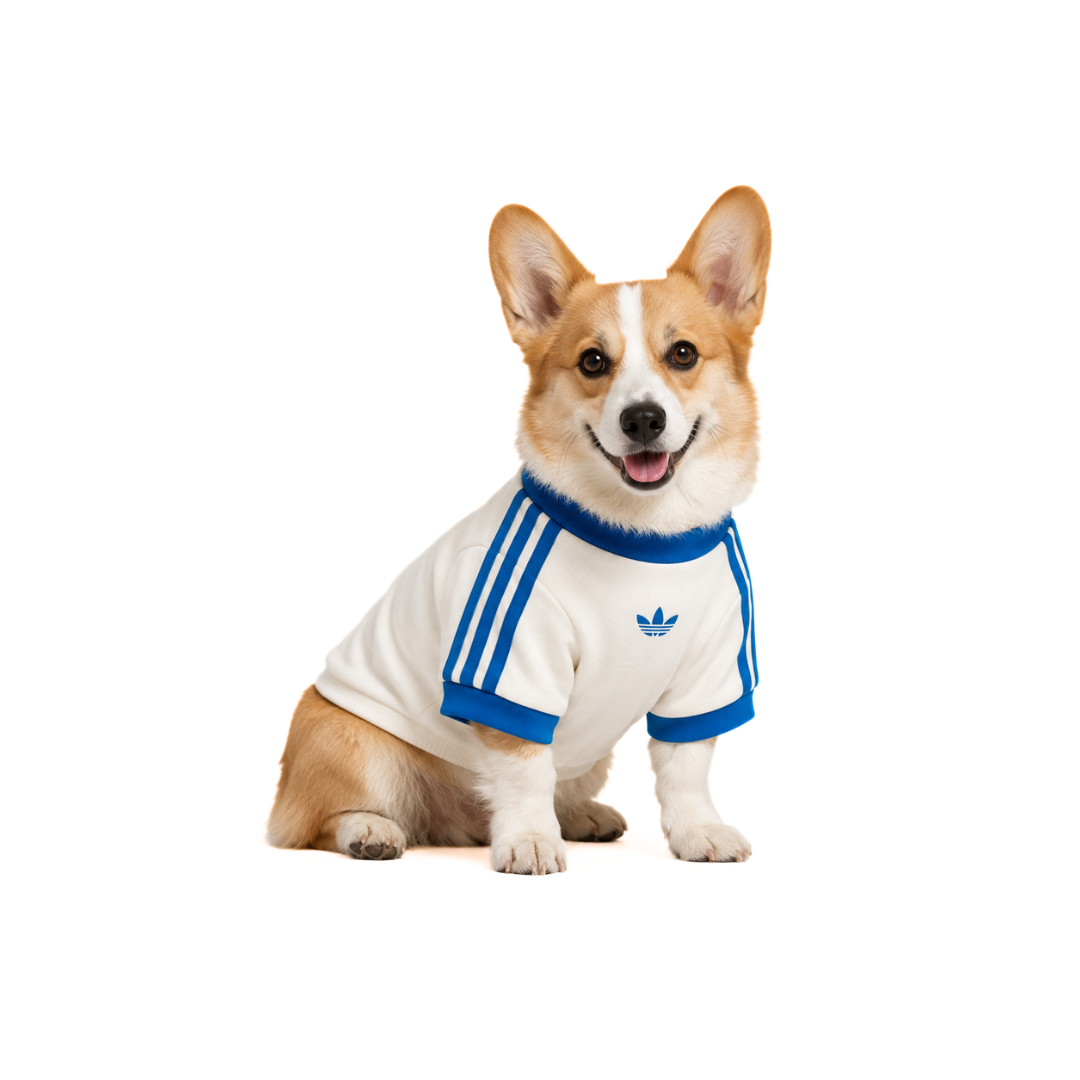 PET CALI TEE Off White Blue Bird