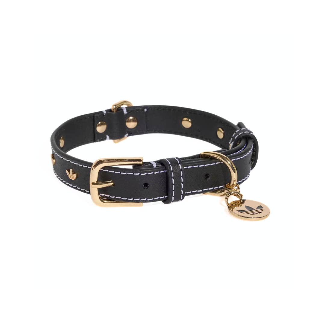 PET COLLAR BLACK