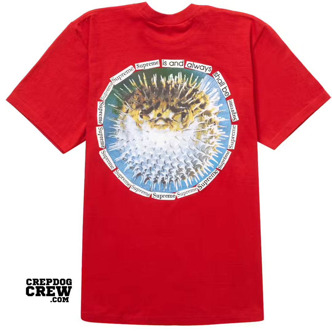 SUPREME BLOWFISH TEE RED