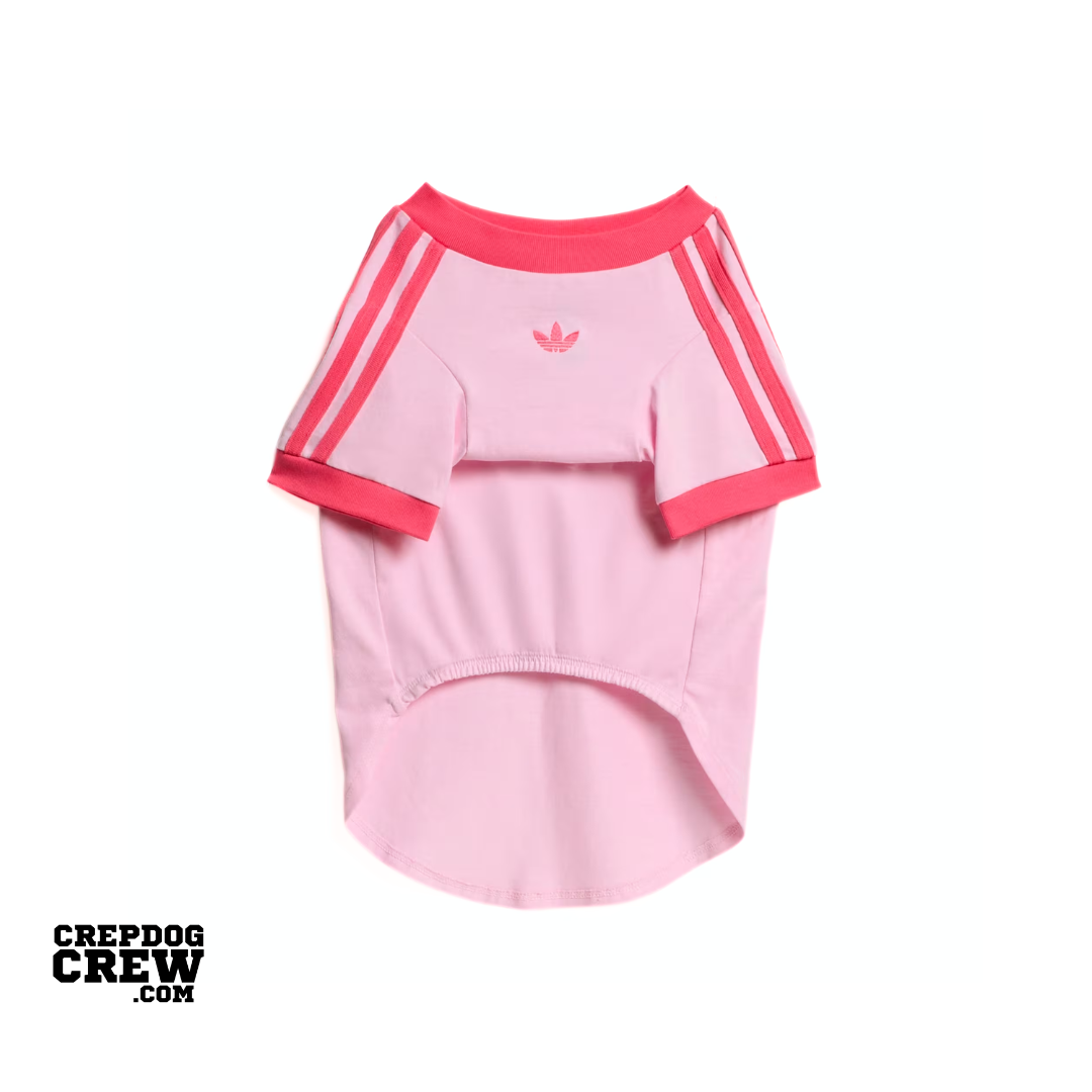 PET CALI TEE Clear Pink Real Pink