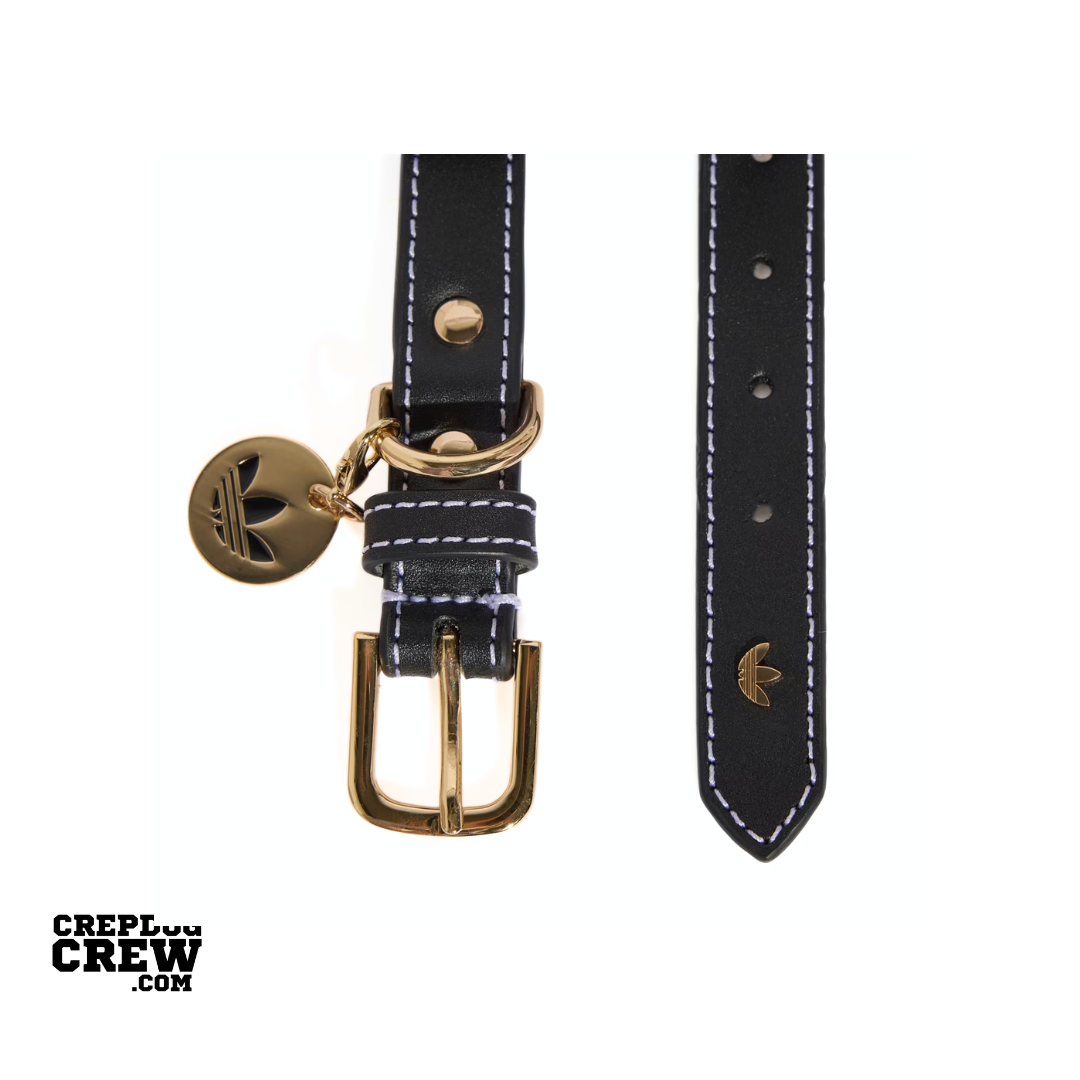 PET COLLAR BLACK