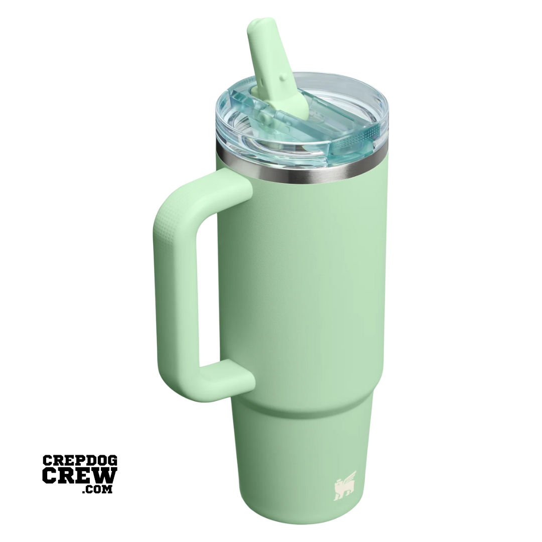 STANLEY TUMBLER Mug ProTour Flip Straw PISTACHIO 30 oz