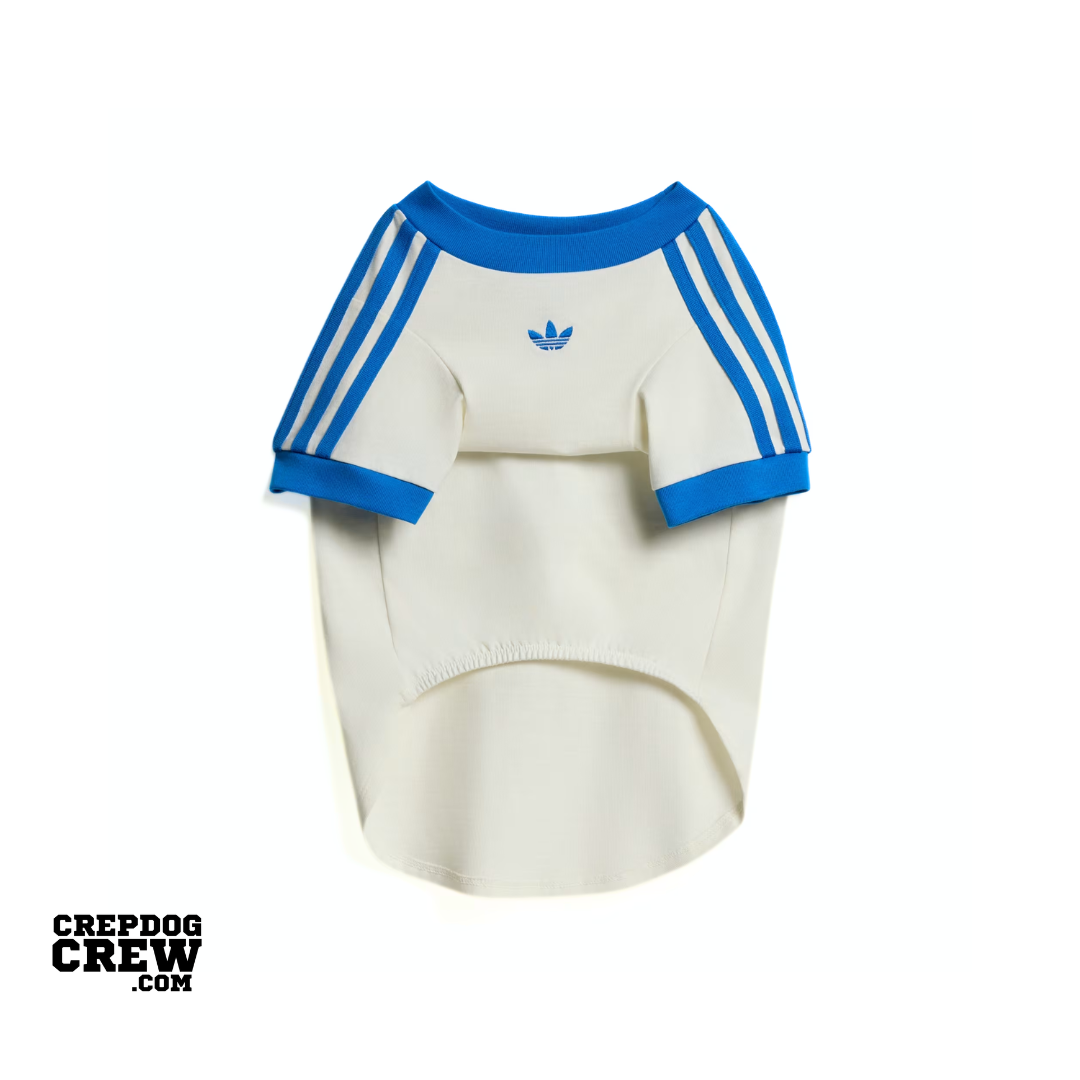 PET CALI TEE Off White Blue Bird