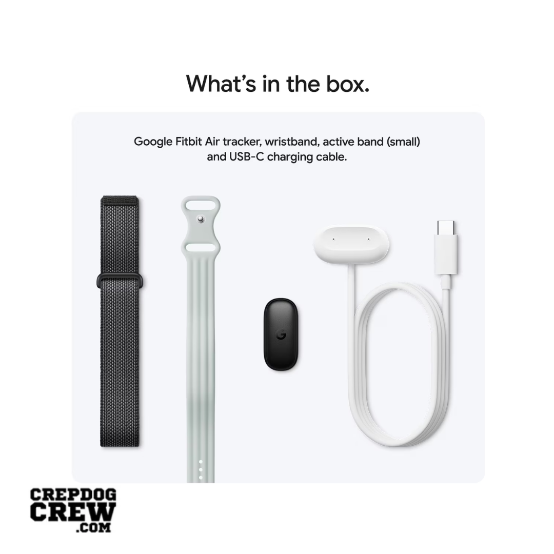 Google Fitbit Air classic Obsidian + Active Band fog