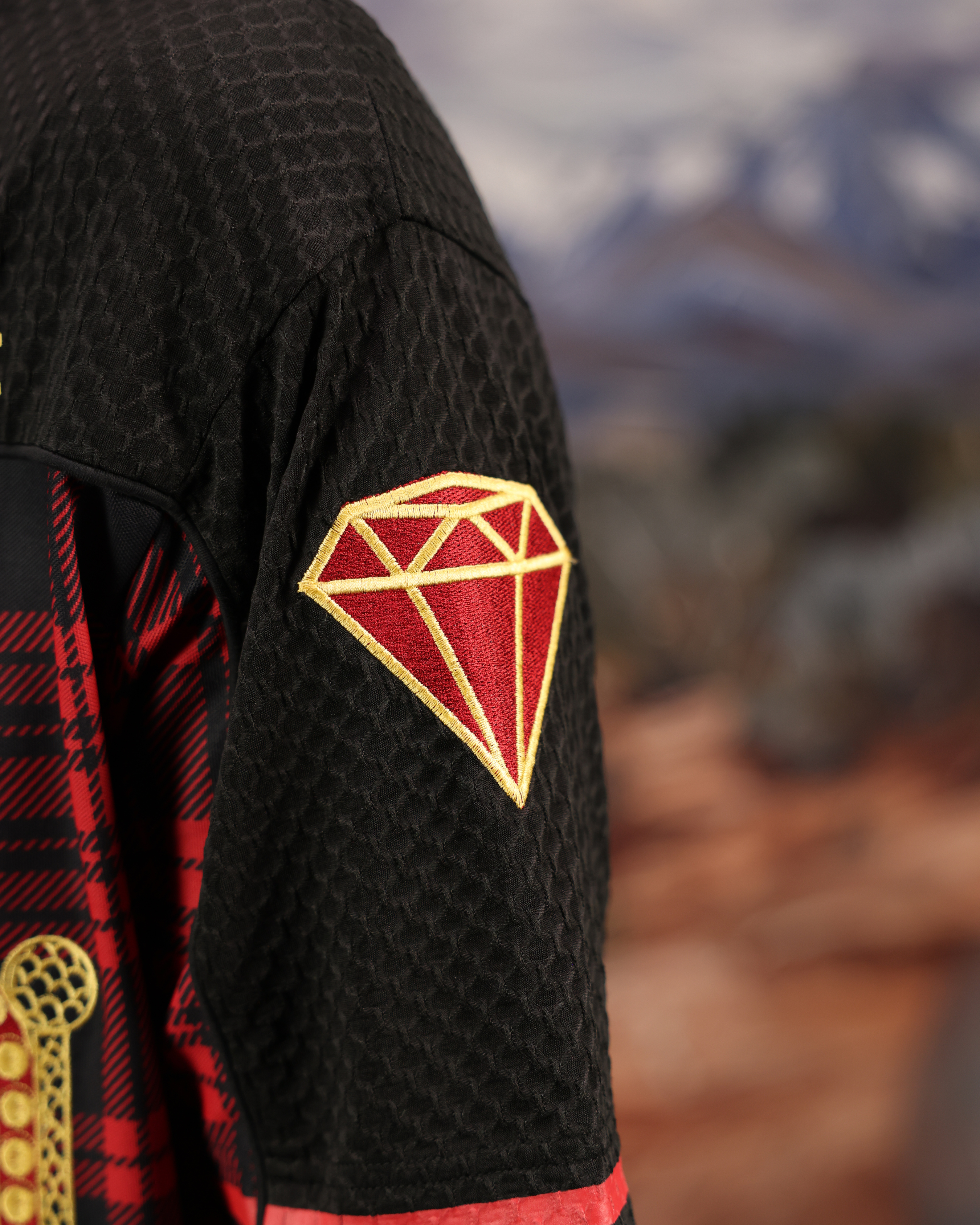 CHAKRA AND CHANCE - OVERSIZED FIT EMBROIDERED JERSEY
