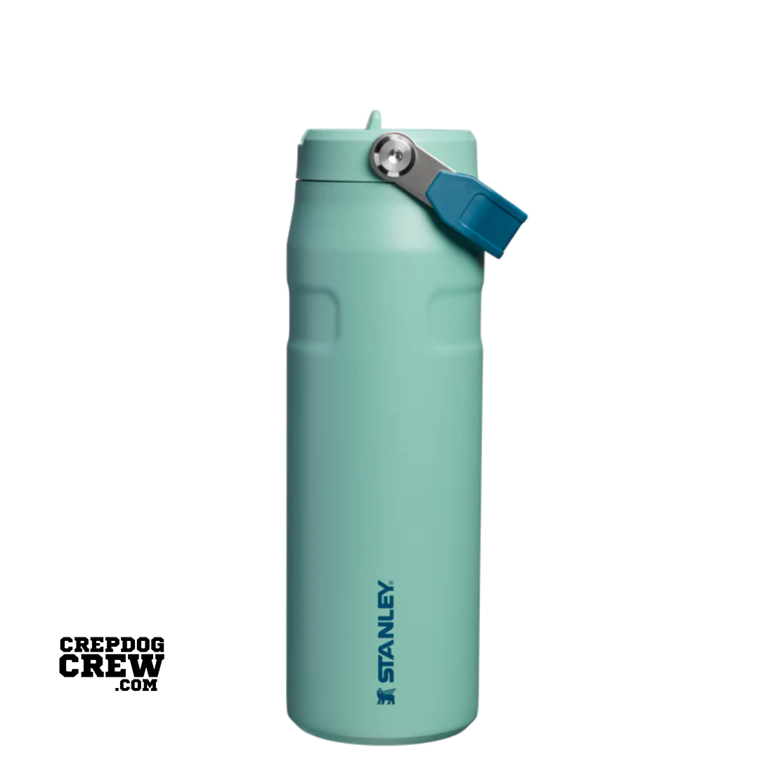 STANLEY Tumbler Mug IceFlow Flip Straw Spring Green 24 Oz