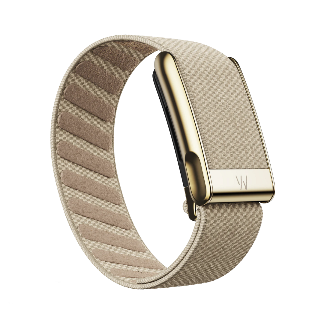 #ADDITIONAL BAND_SUPERKNIT LUXE DUNE WITH GOLD