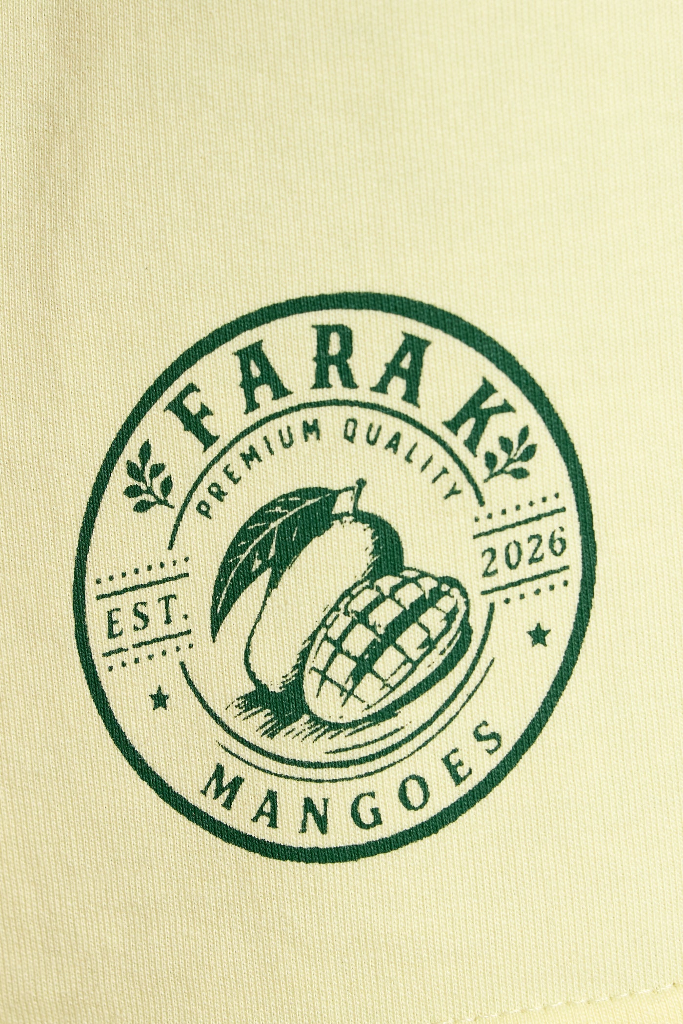 Mango T-shirt
