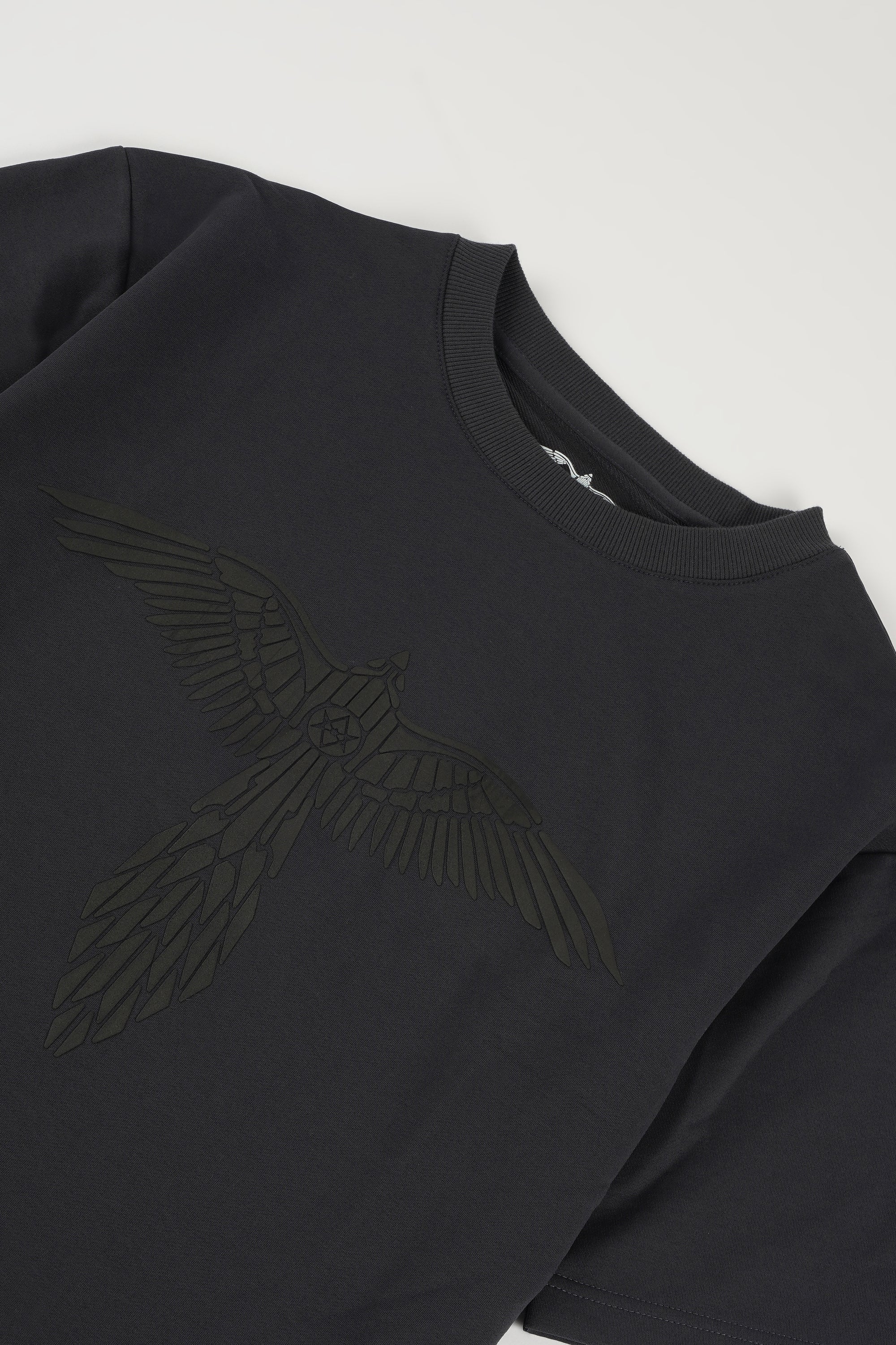 AQUILA SOAR TSHIRT IN GREY