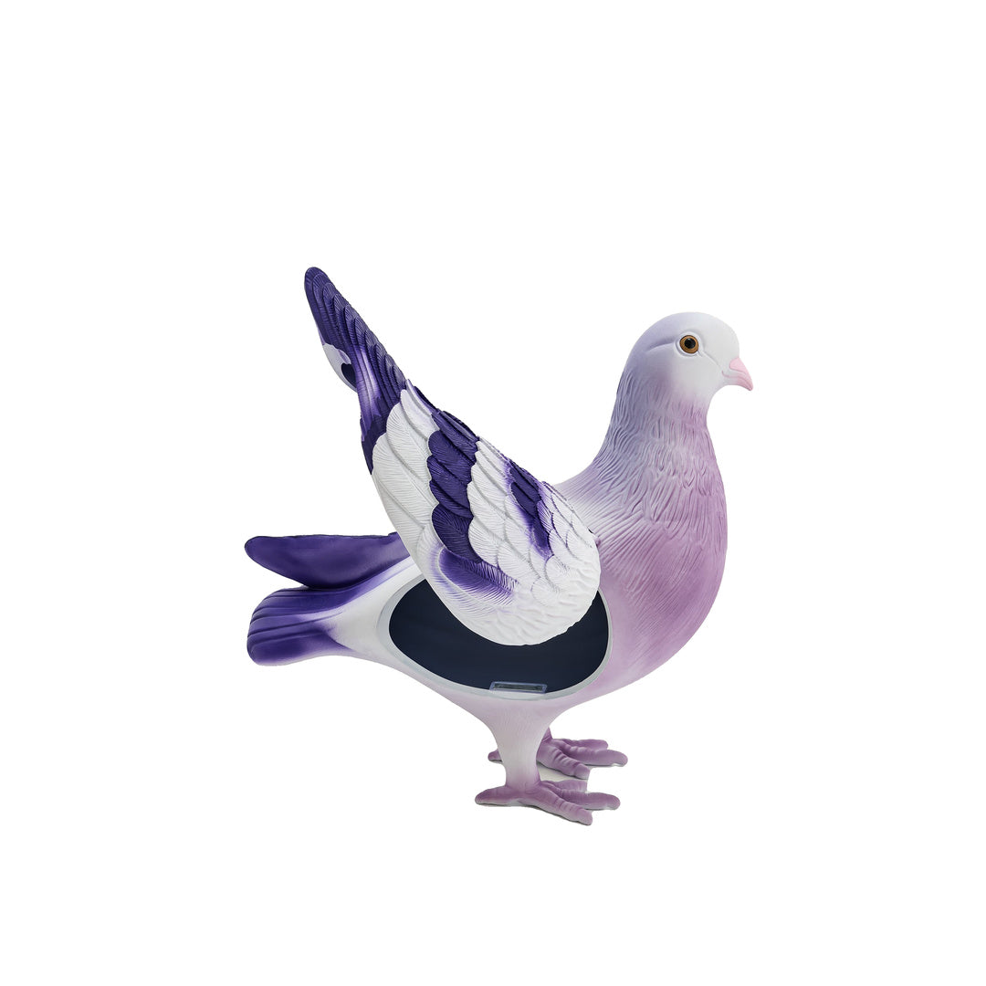 JW PEI Kallie Pigeon Clutch Bag-Purple