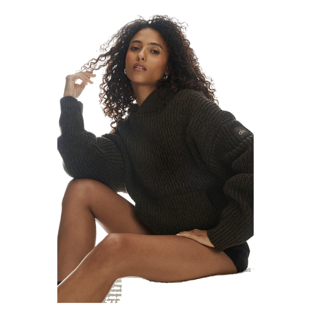 ALO Chunky Knit Rewind Hoodie - Espresso Multi