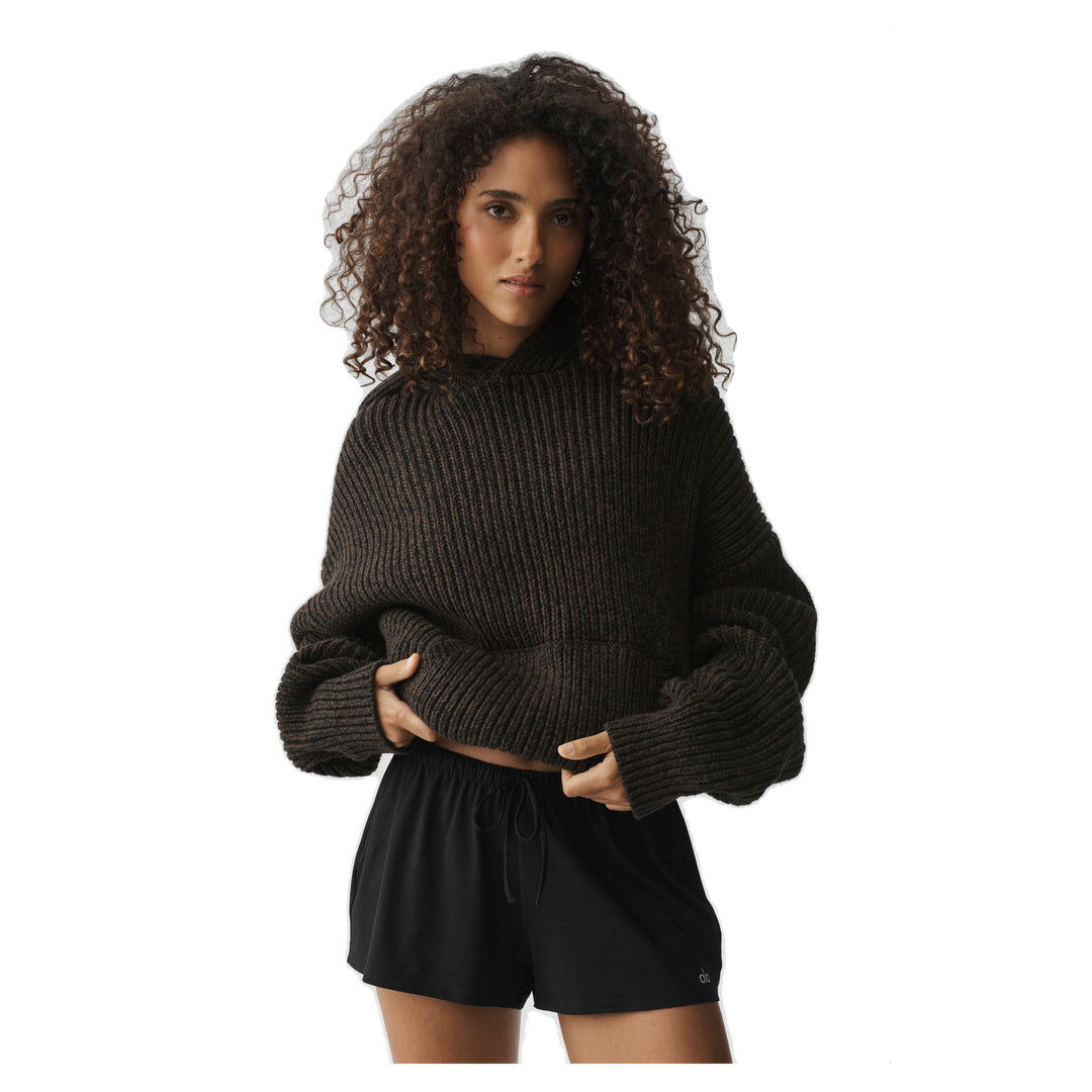 ALO Chunky Knit Rewind Hoodie - Espresso Multi