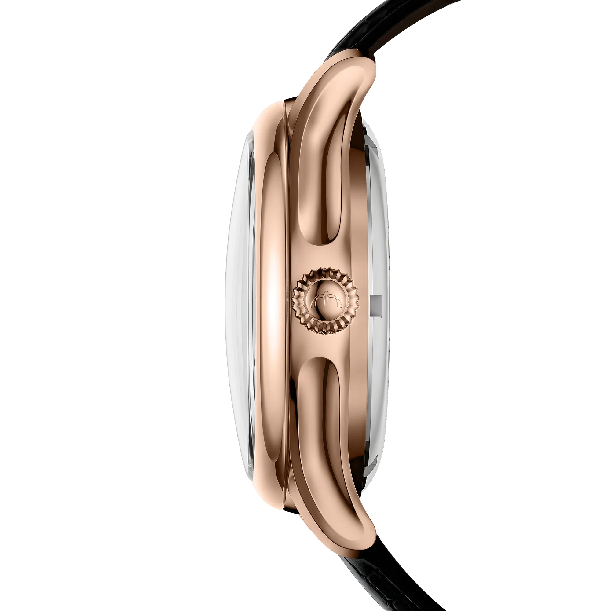 ROTORIS MANIFESTA BLACK ONYX