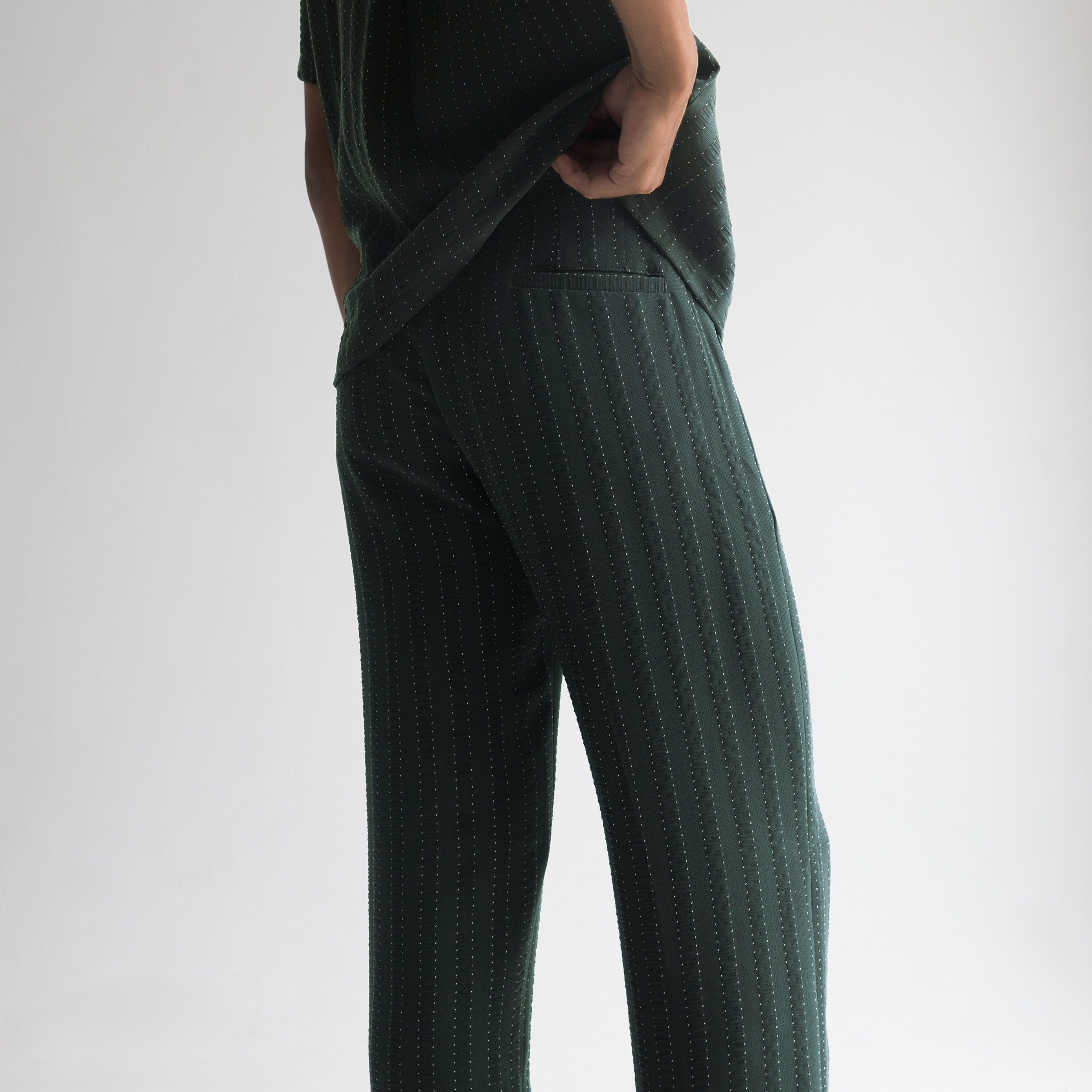 PINSTRIPE YAMAZAKI PANTS