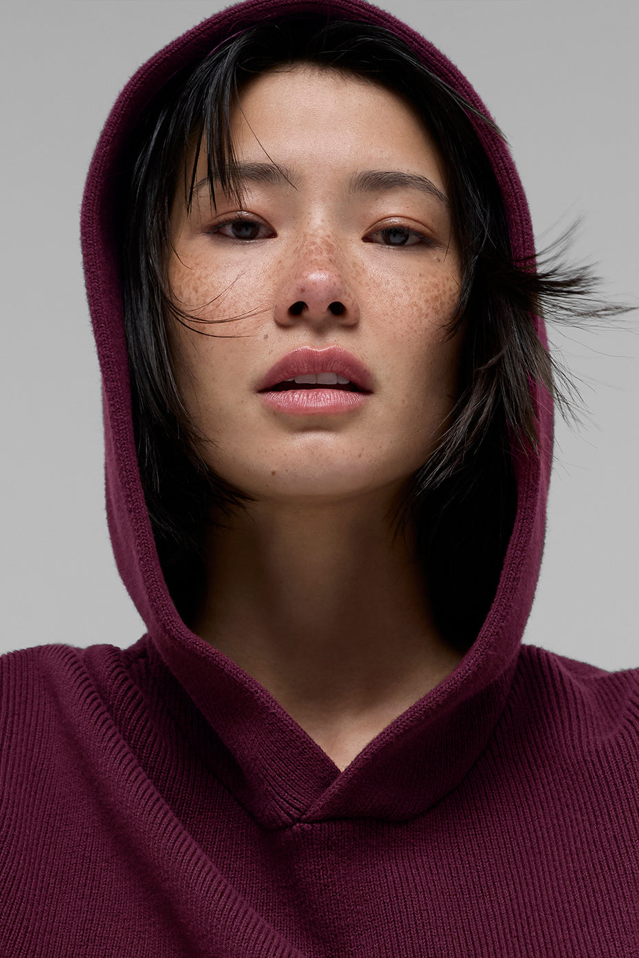 alo Scholar Hooded Sweater - Burgundy