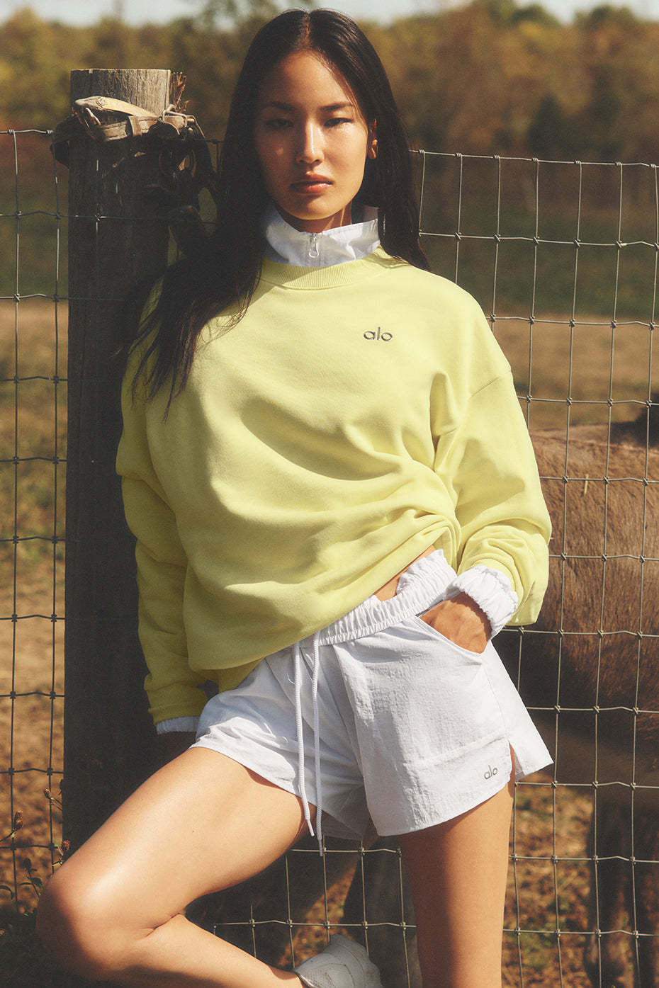 alo Accolade Crew Neck Pullover - Sunshine