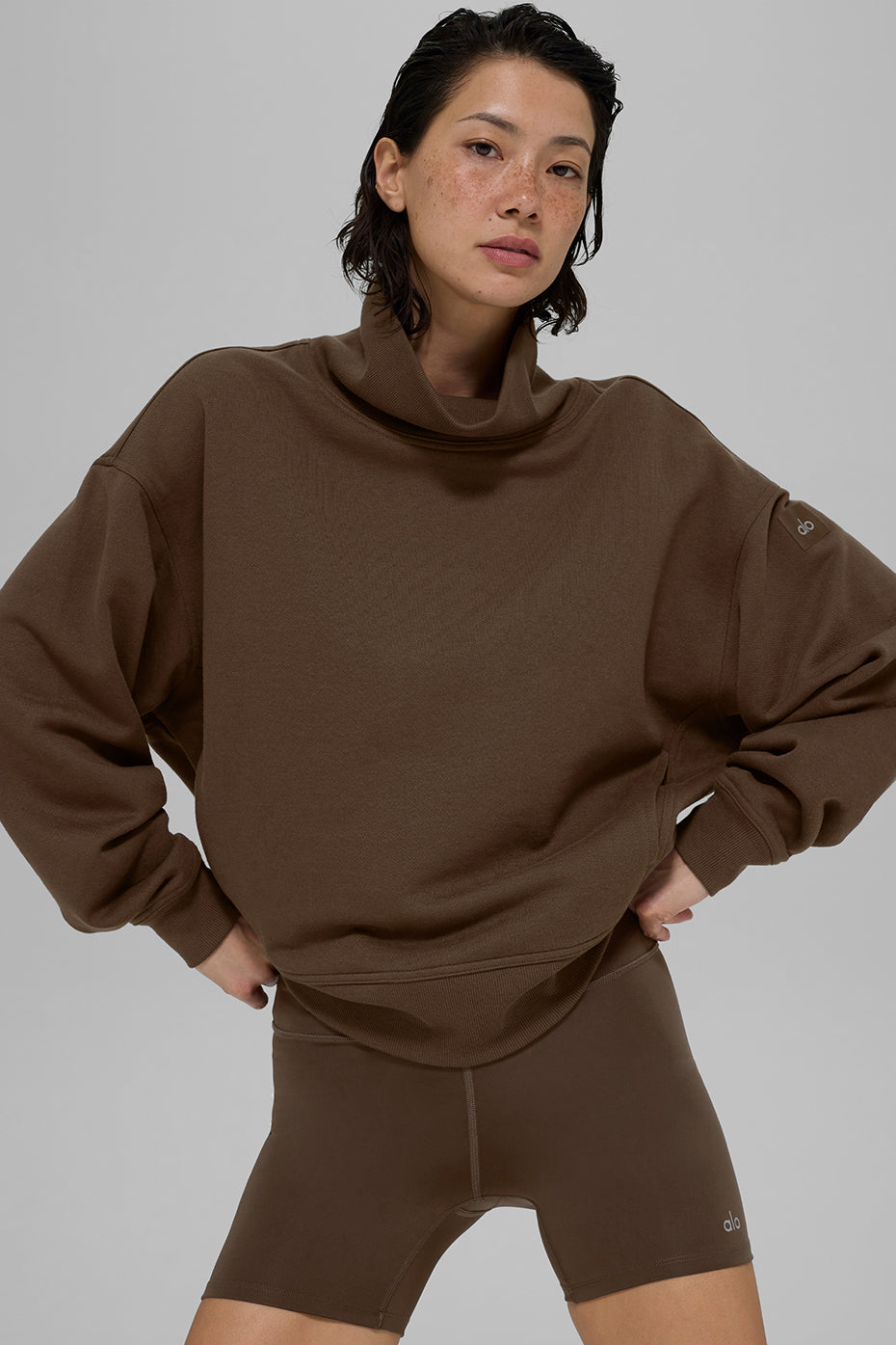 alo Hazy Mock Neck Pullover - Espresso