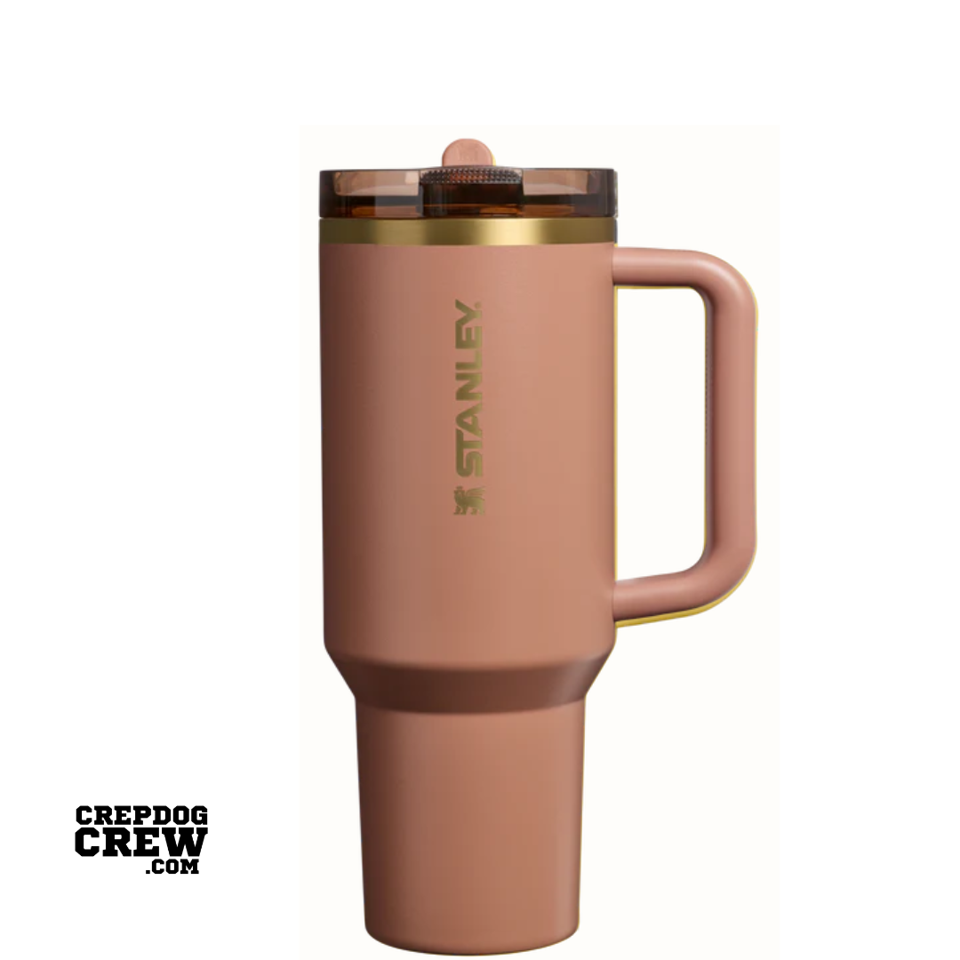 STANLEY TUMBLER Mug ProTour Flip Straw Mocha Latte 40 oz