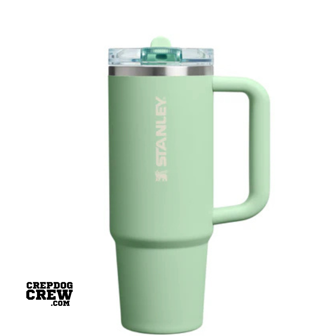 STANLEY TUMBLER Mug ProTour Flip Straw PISTACHIO 30 oz